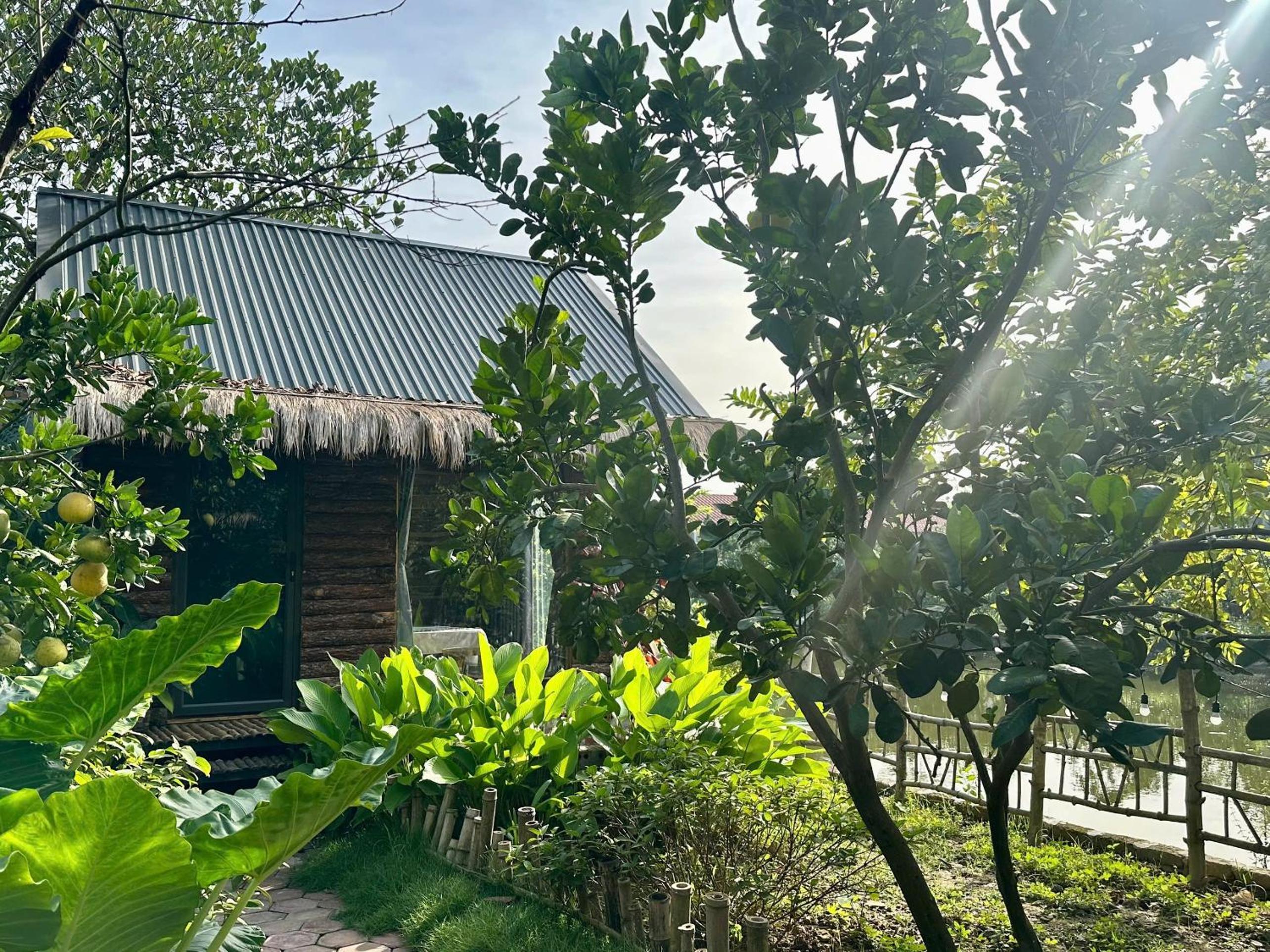 Peaceful refuge homestay view 3