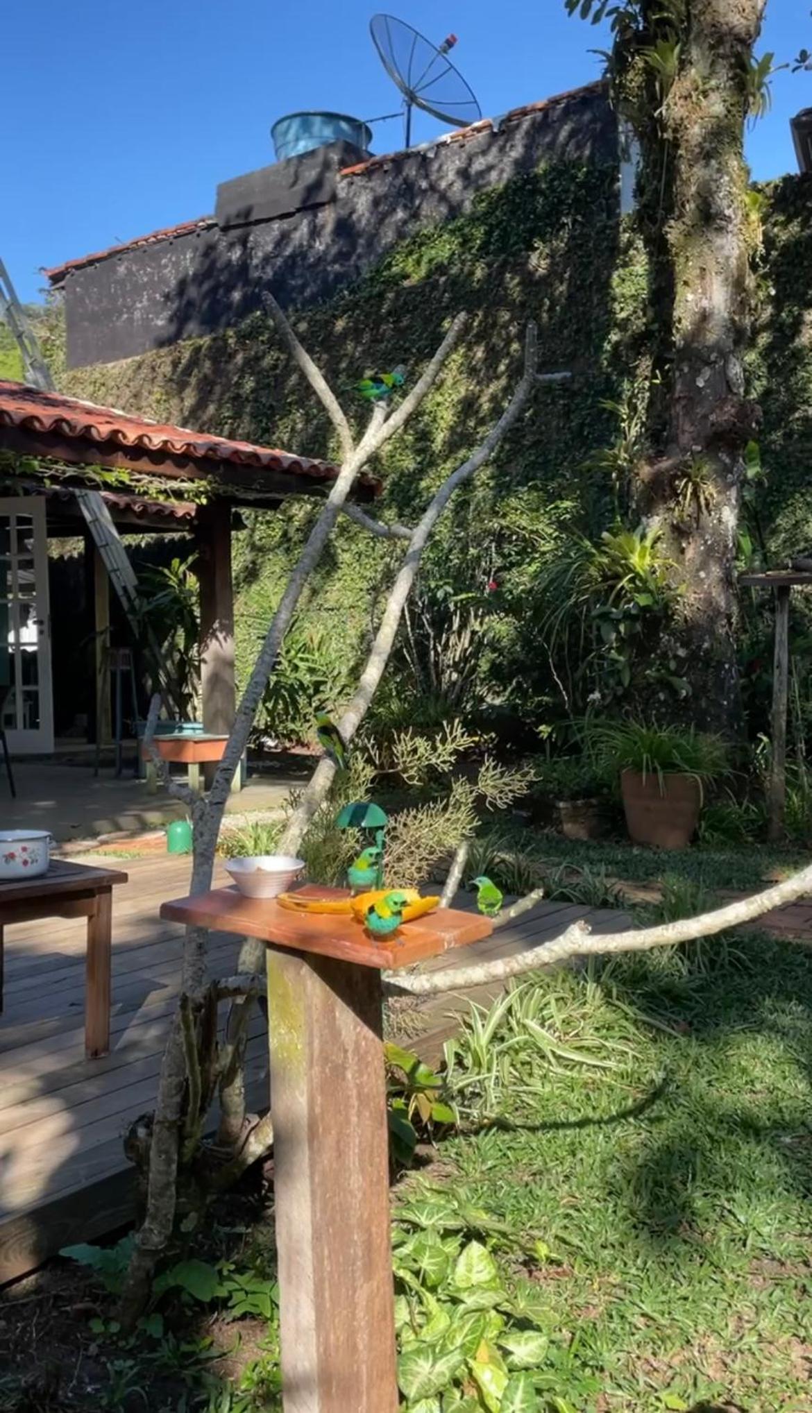 Bird House on the sand 20m from Praia da Baleia with 3 suites with air conditioning, 300mb wifi, smart TV, full kitchen and barbecue