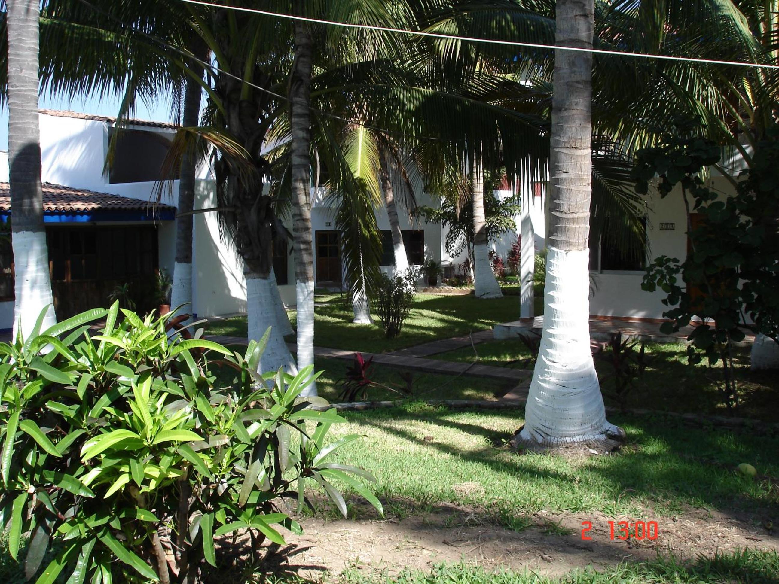 BONITO APARTAMENTO RODEADO DE PALMERAS primer nivel view 5