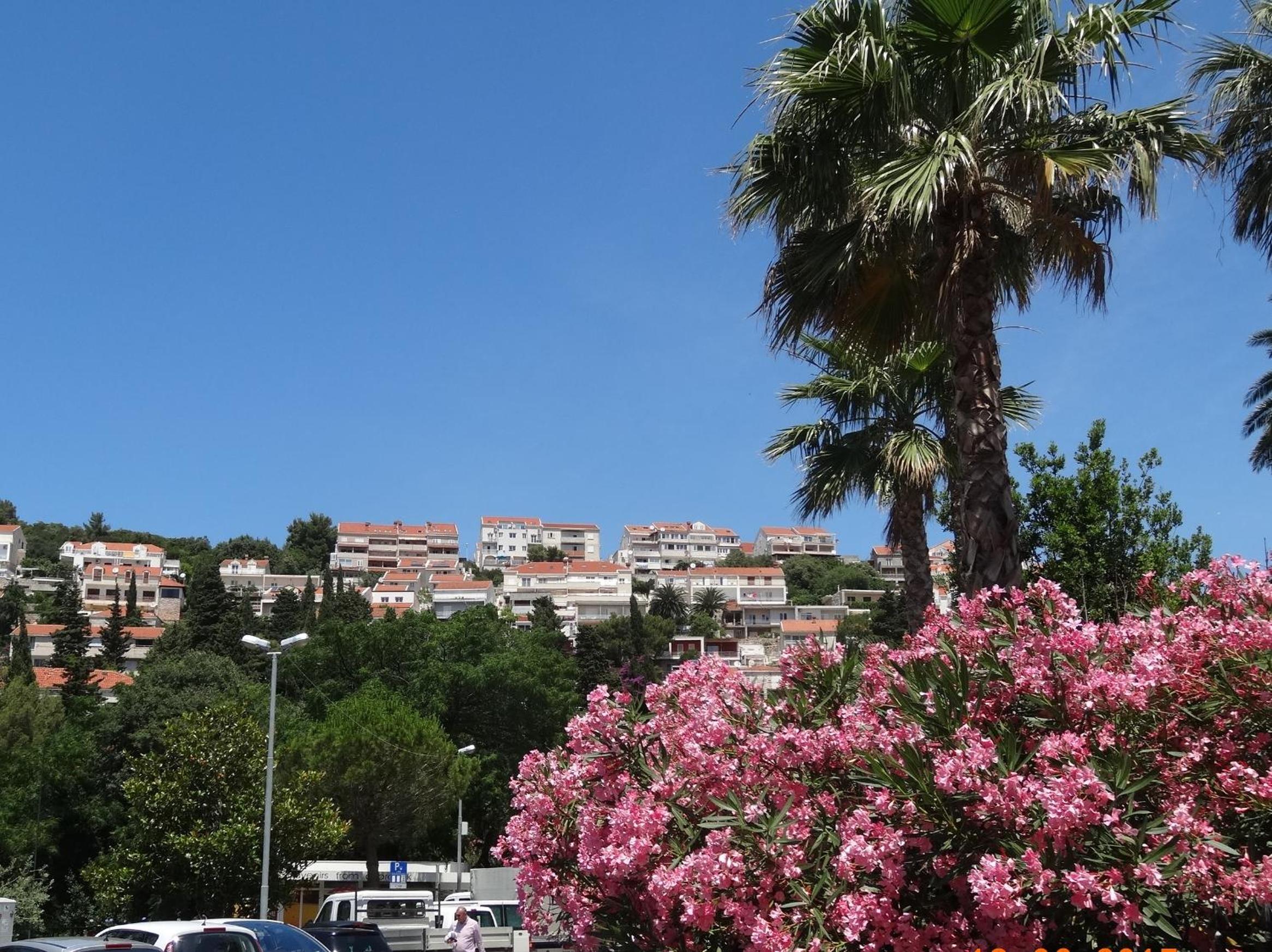 Apartments Roko