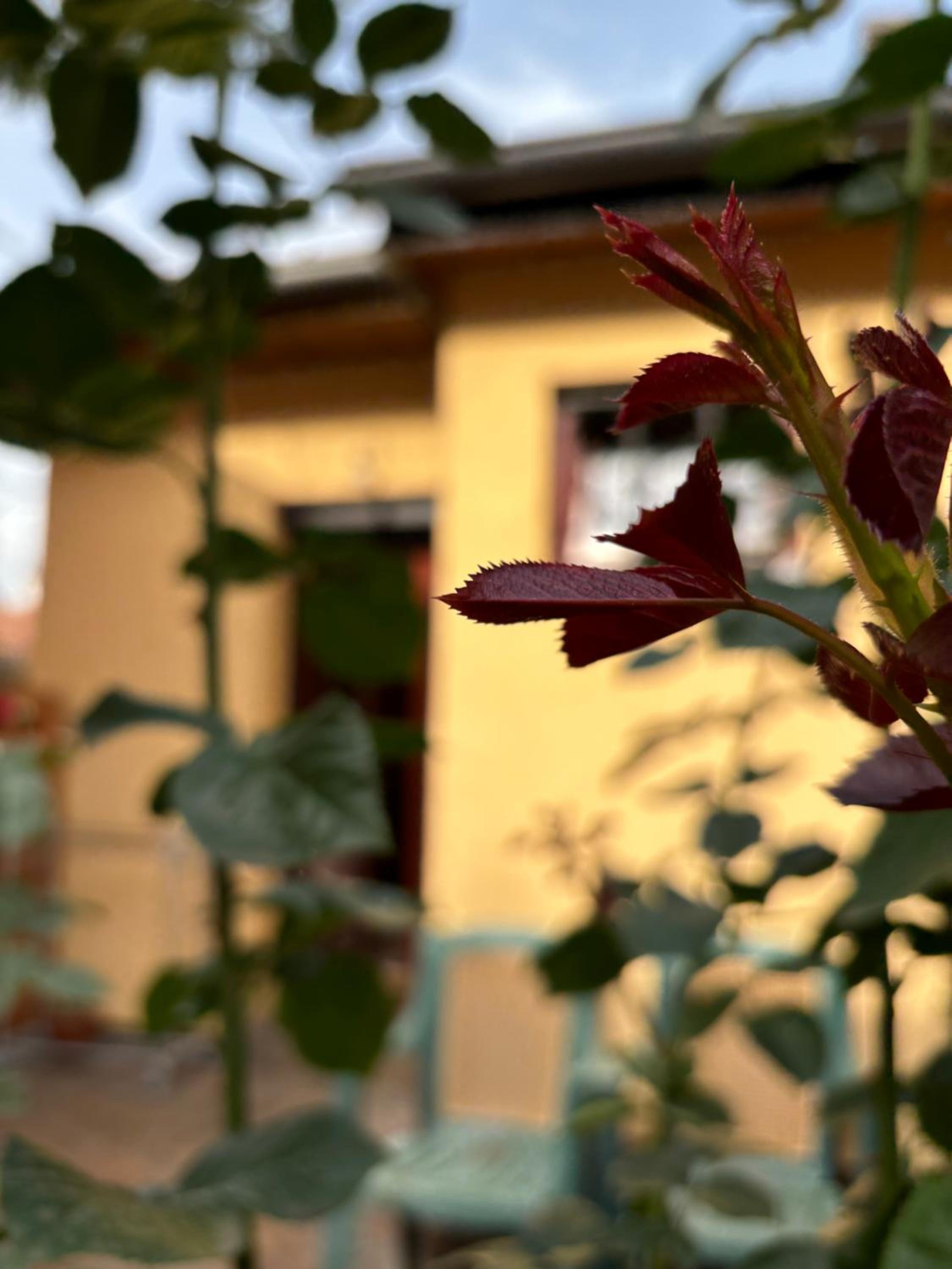 Residential Old Town Villa with Private Parking