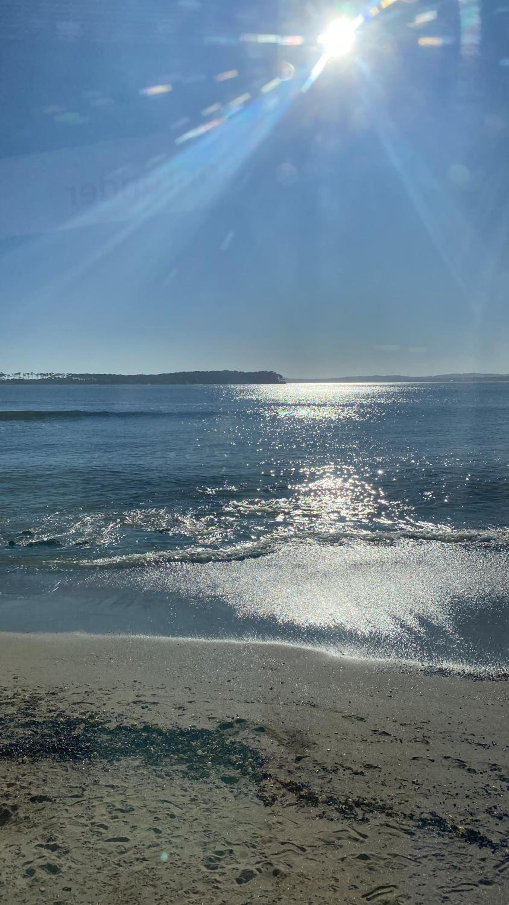 Punta del este uruguay en Punta del Este