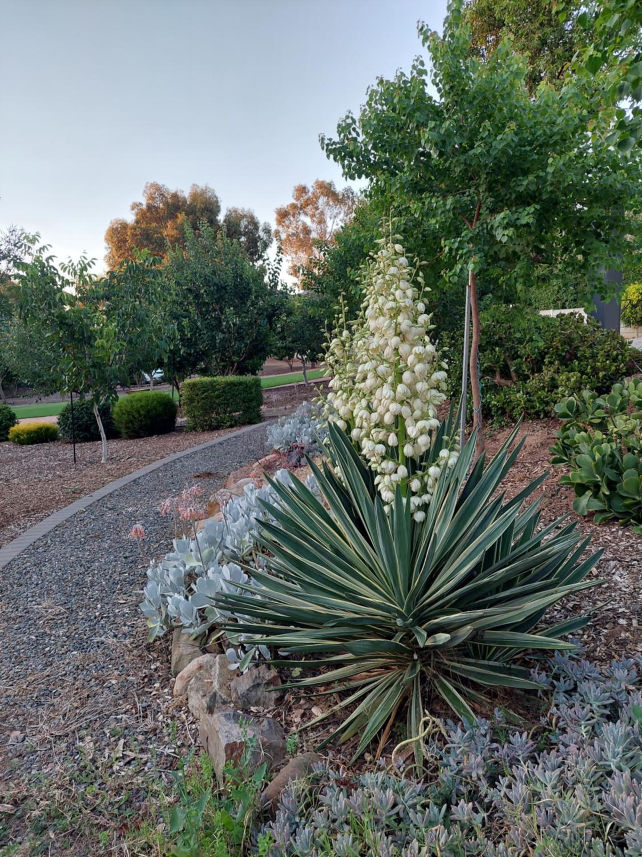Gawler Garden Retreat
