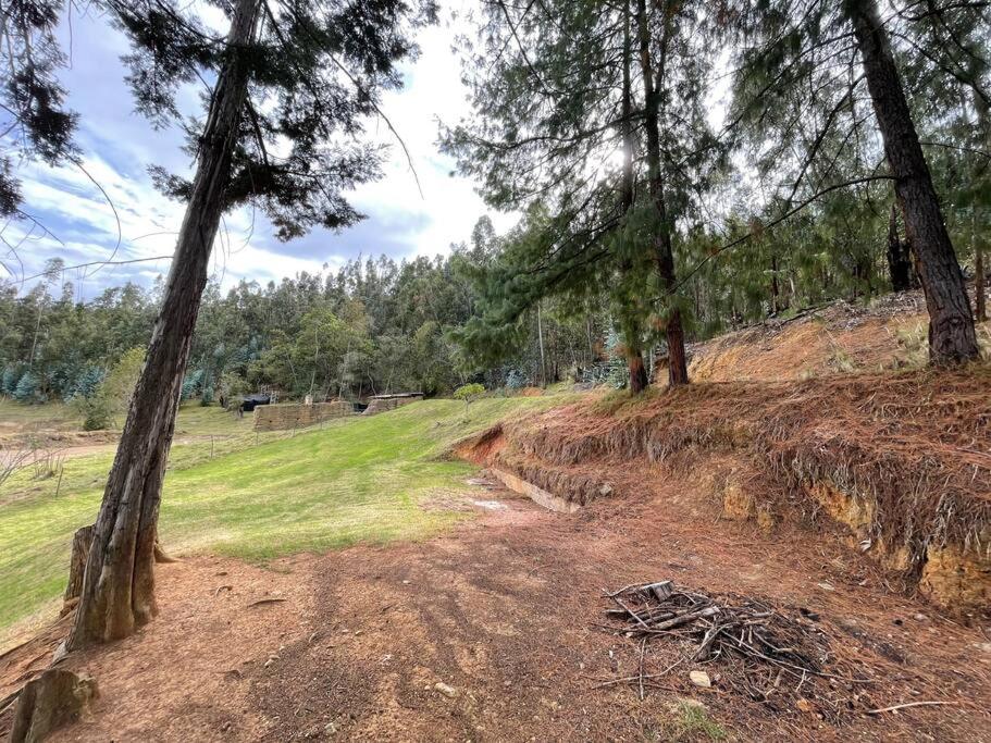 Finca La Esperanza