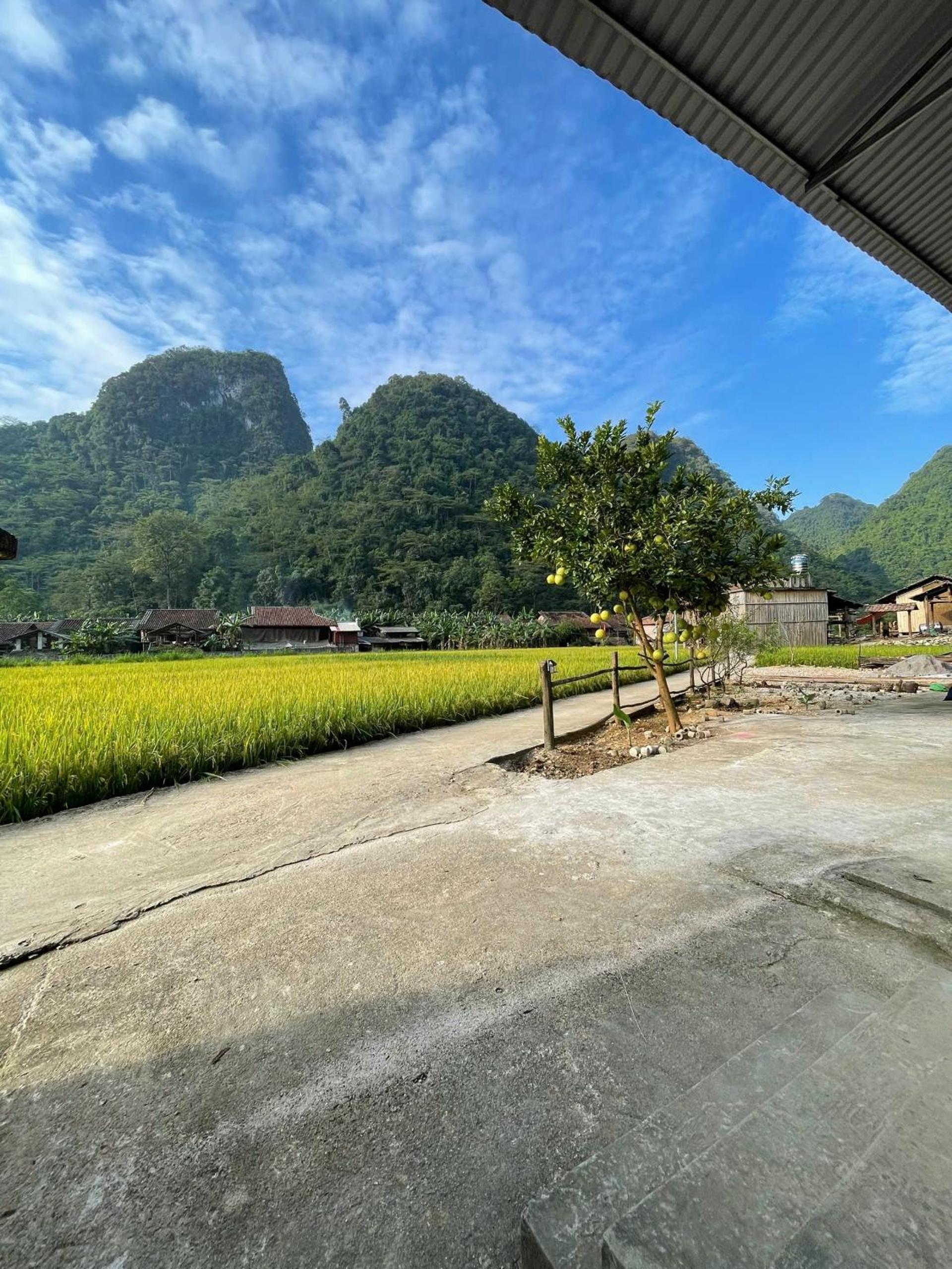 Nùng An homestay-Nùng ethnic group view 4