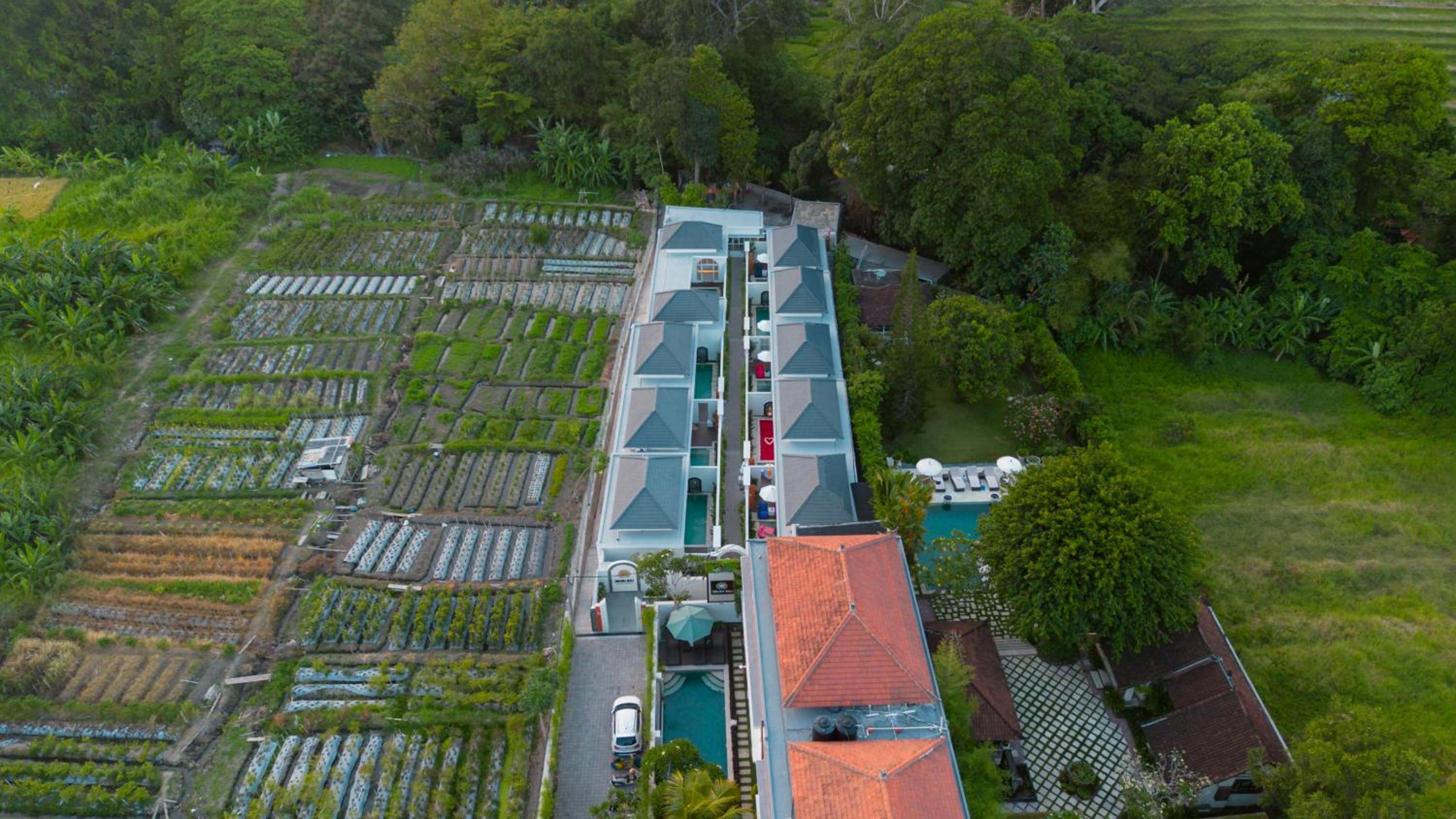 Dikubu Bali Villa and Suites Seminyak