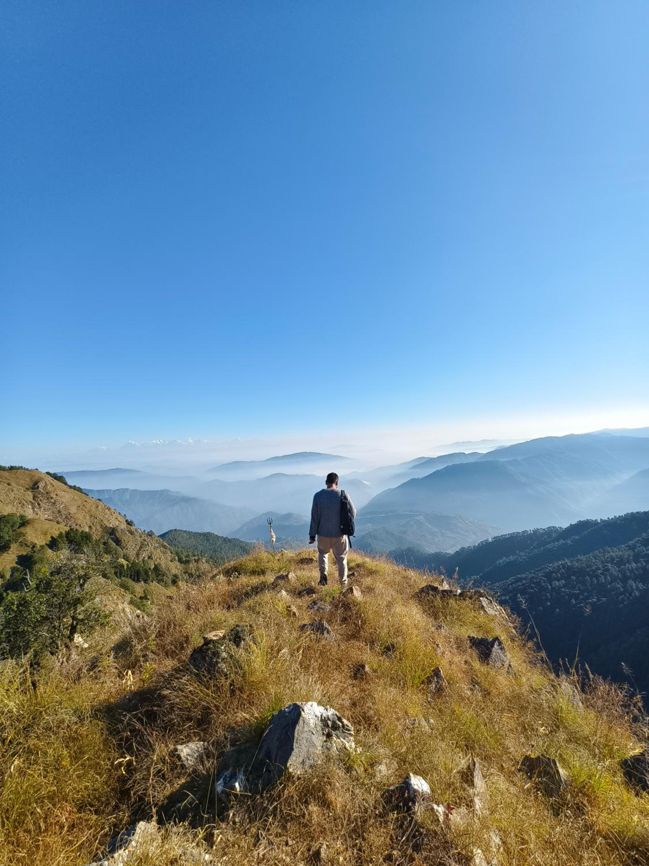 HimWanderer Camps & Cottages Pangot
