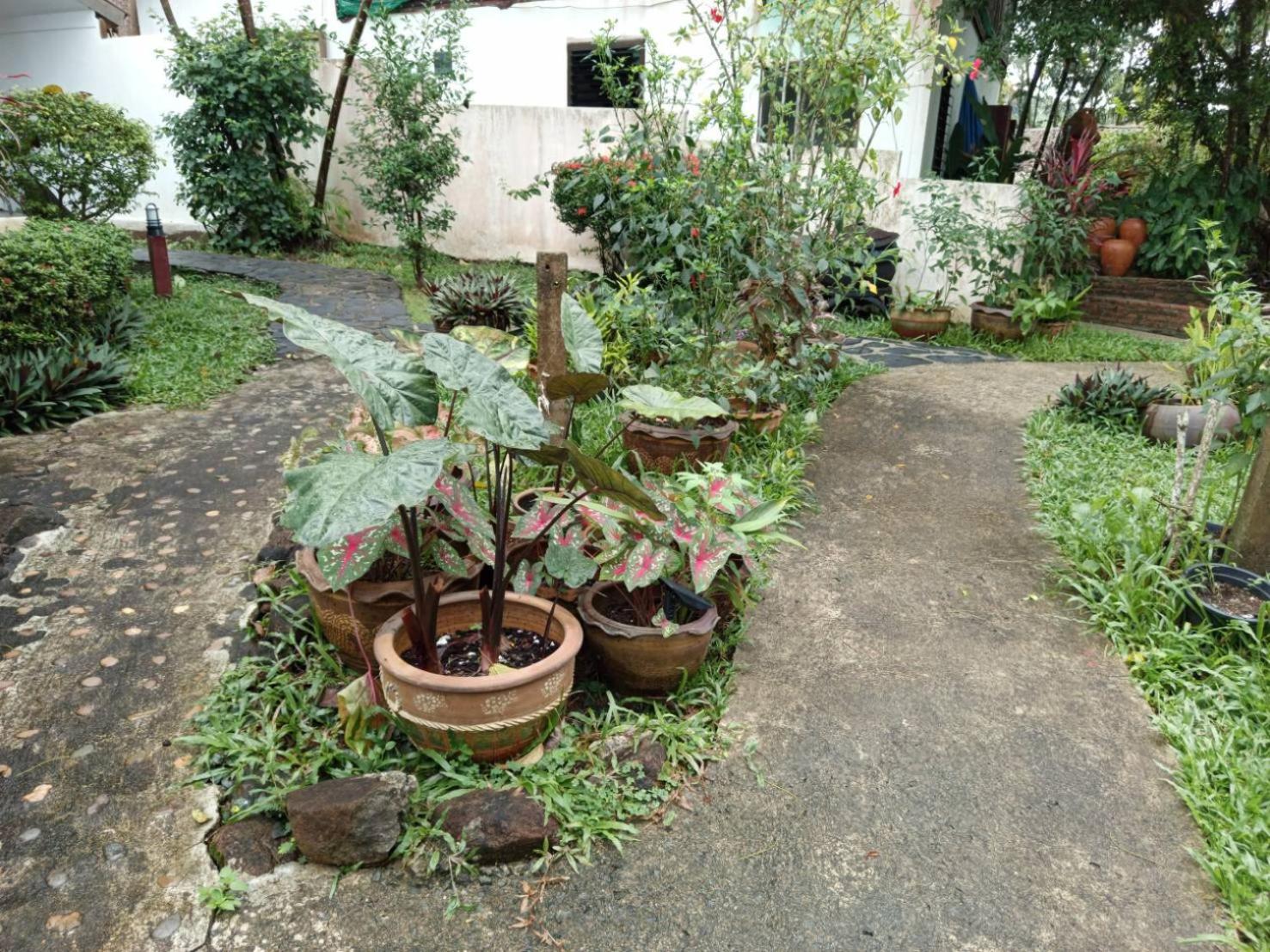 Faye Orchid Garden Resort