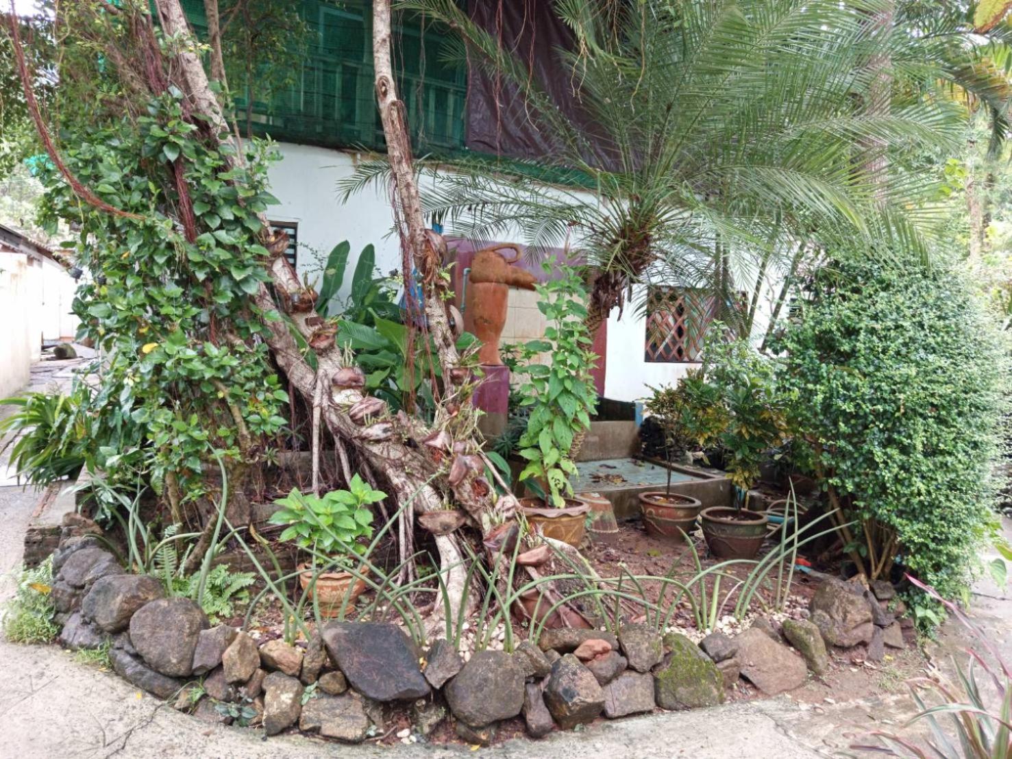 Faye Orchid Garden Resort