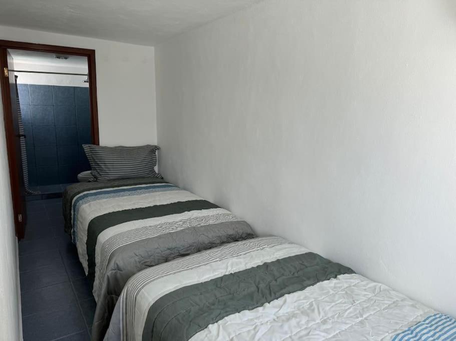 Suites Amplias en Quinta Avenida