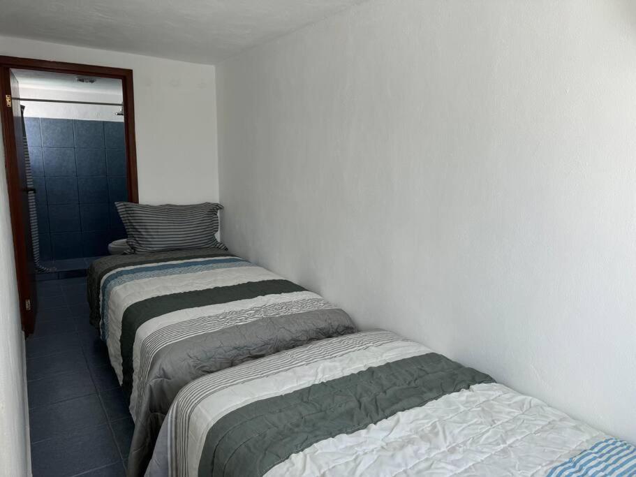Suites Amplias en Quinta Avenida
