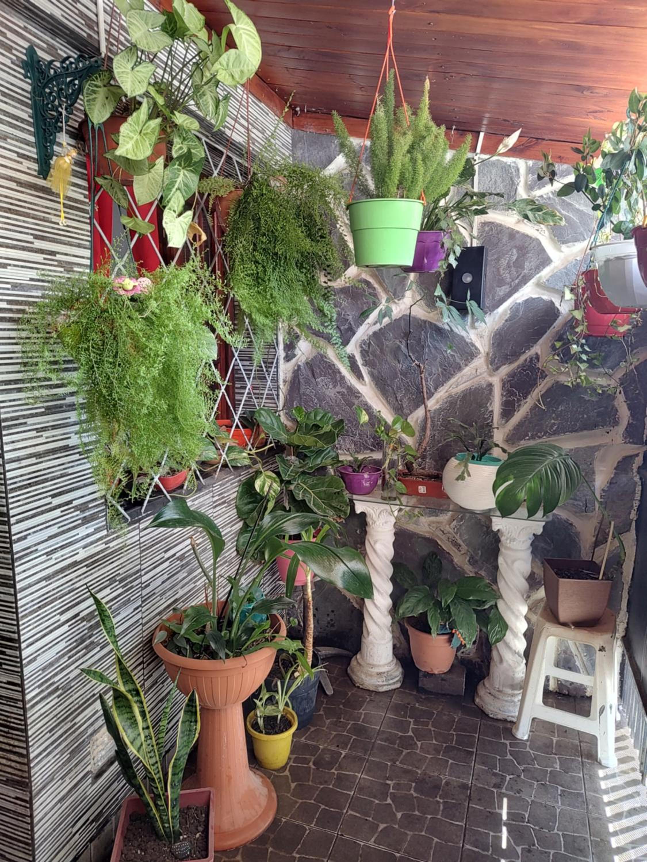 Casa confortable jujuy