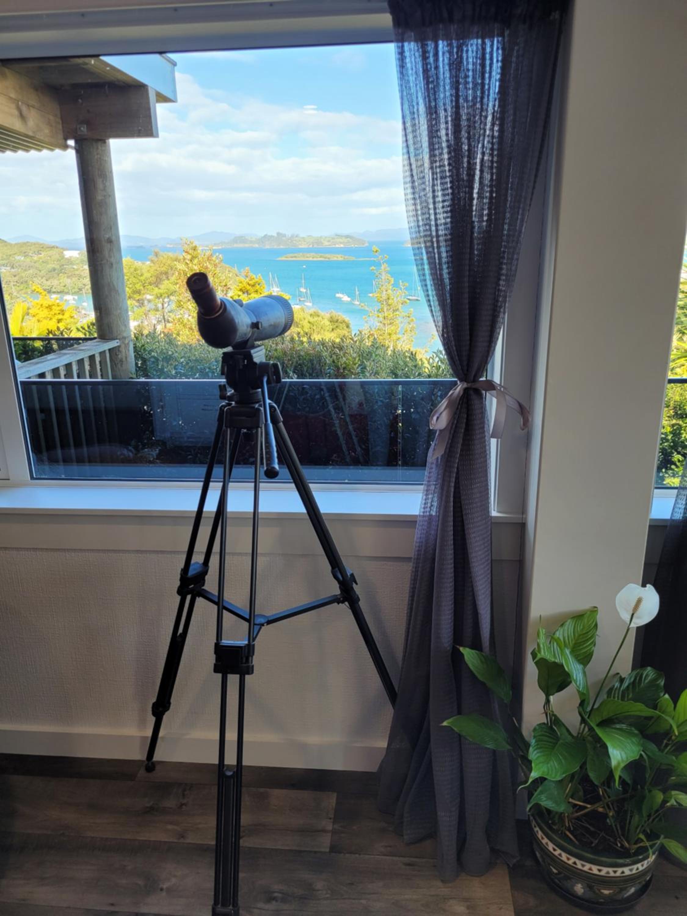 Doves Bay View view 5