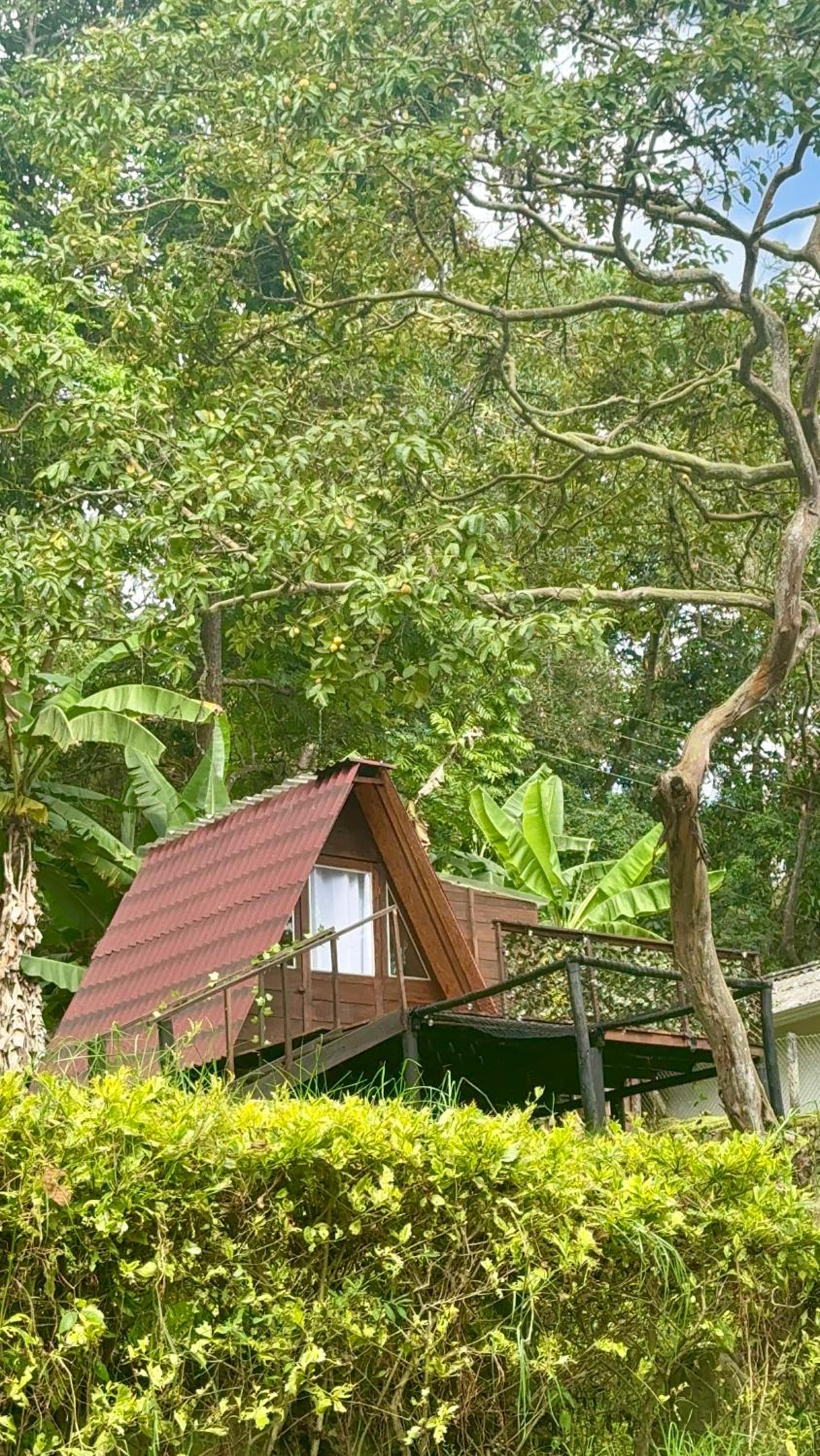 Glamping la cabaña
