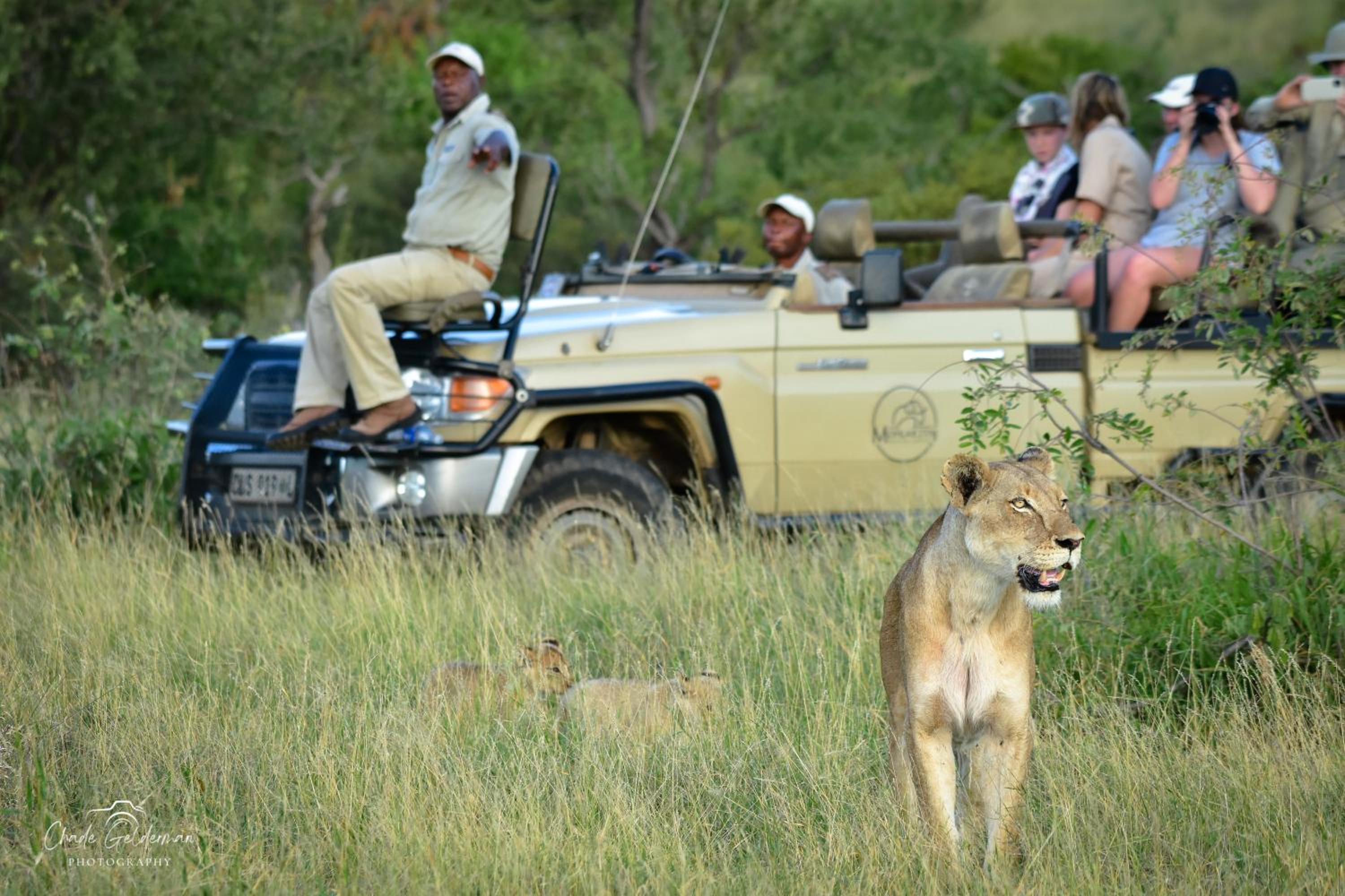 Mohlabetsi Safari Lodge