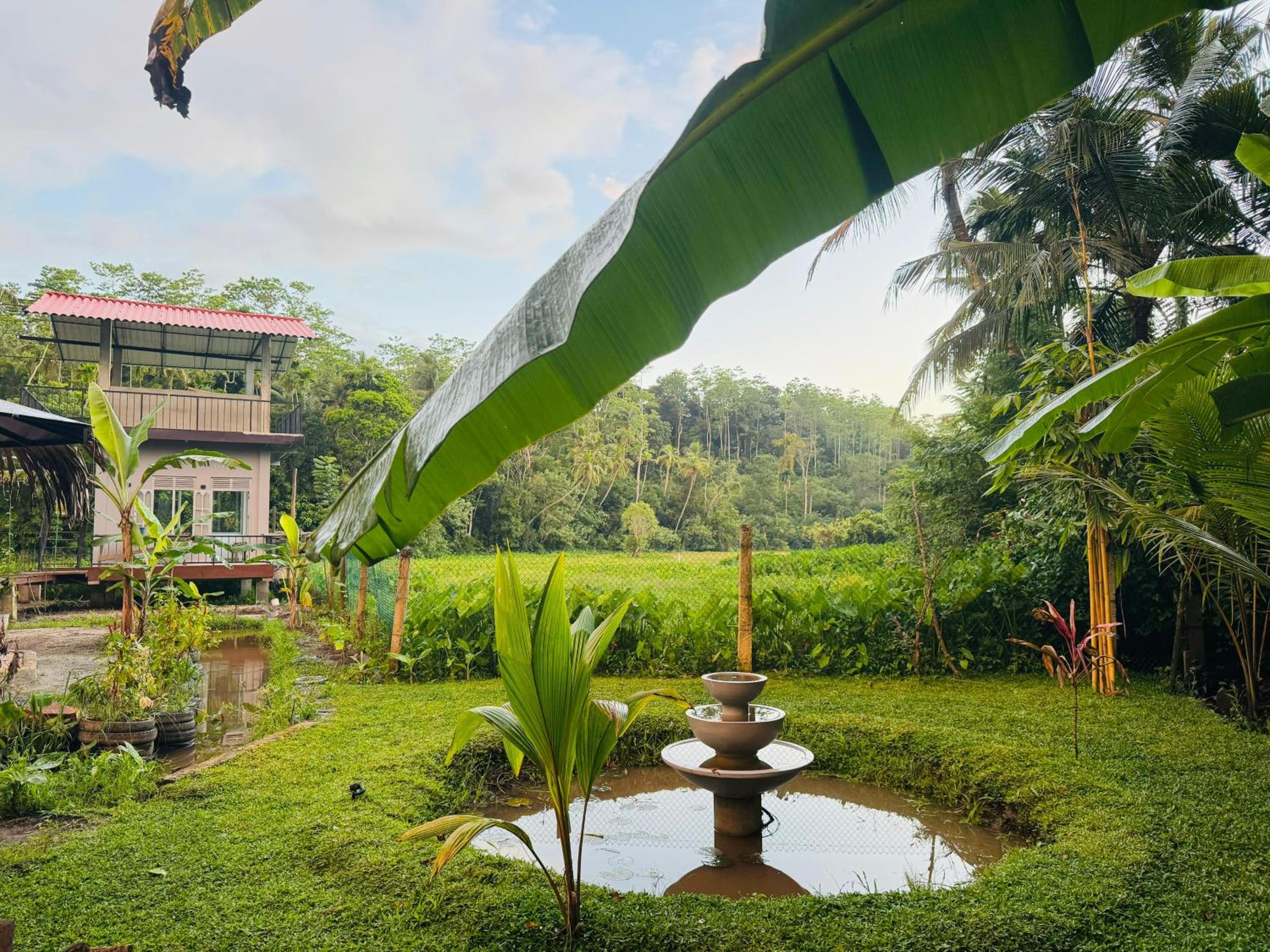 Calm Side Villa Hikkaduwa view 2