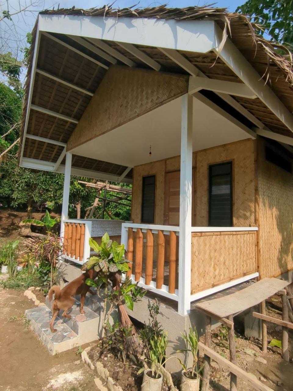 The Village Eco-Bungalows in Salvacion, Busuanga view 5
