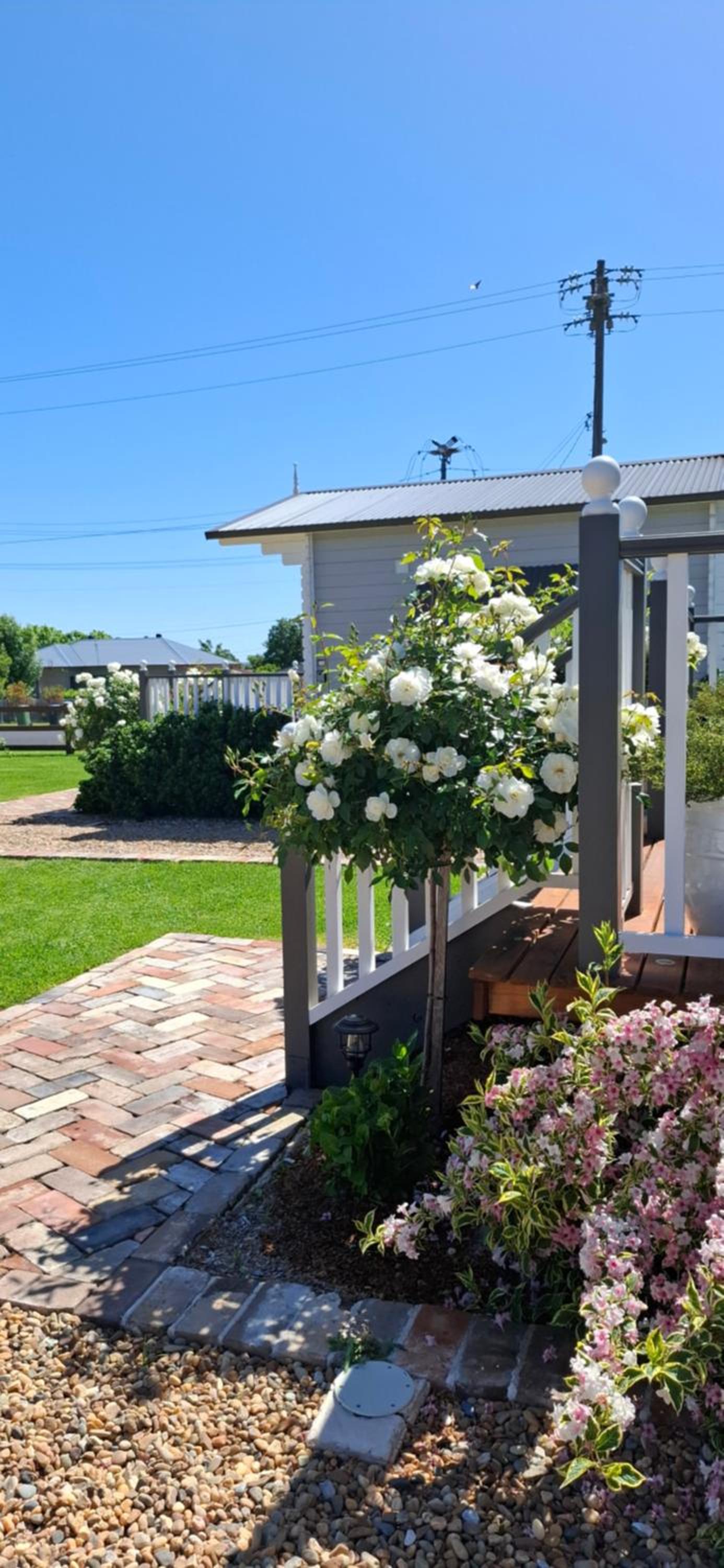 Dangerfield Oaks Boutique Cottage's
