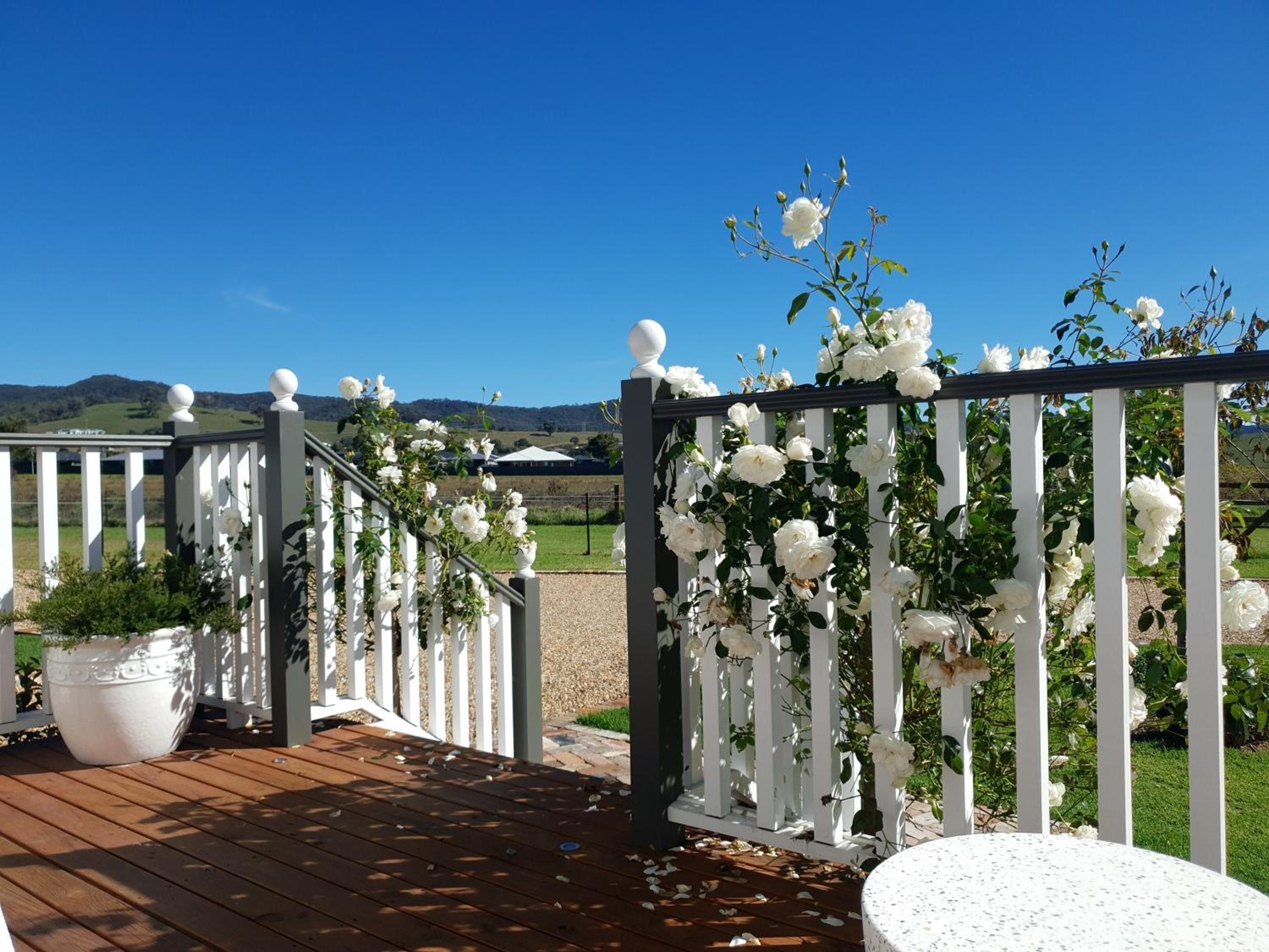 Dangerfield Oaks Boutique Cottage's