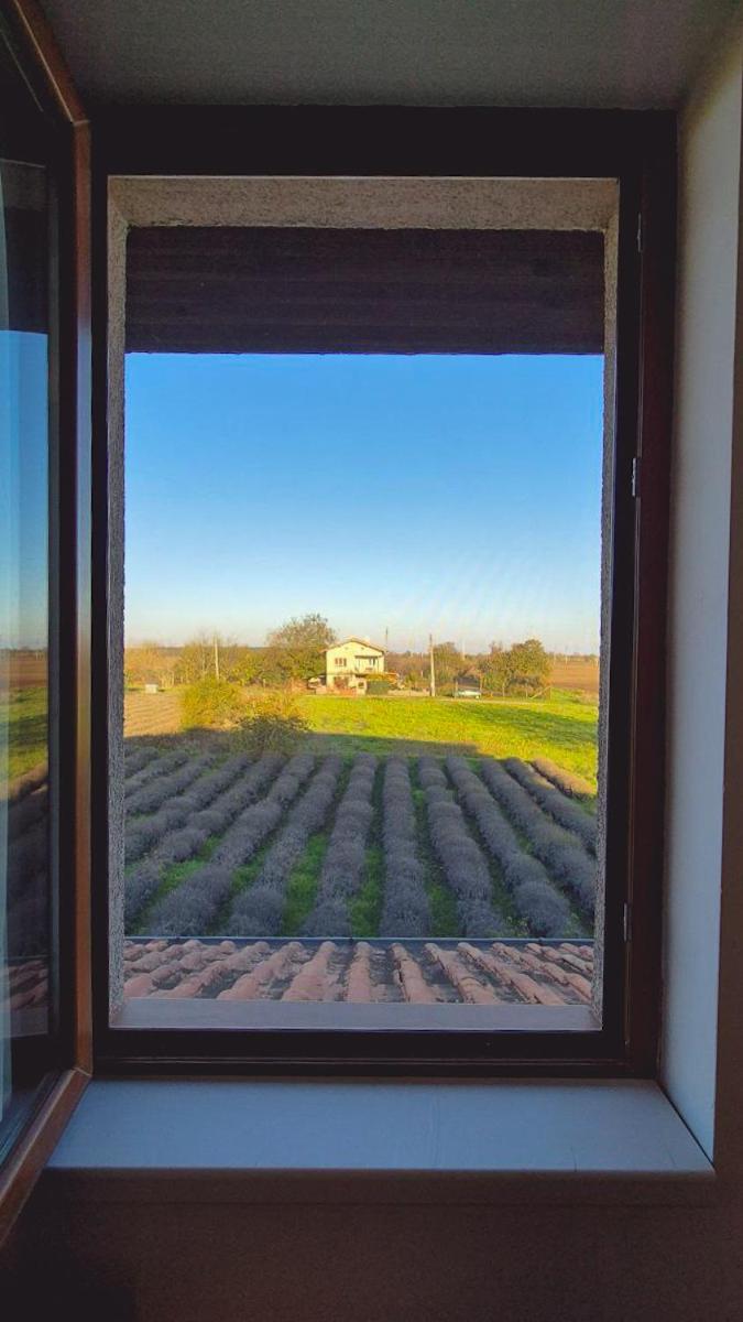Lavender Lodge Tsarichino