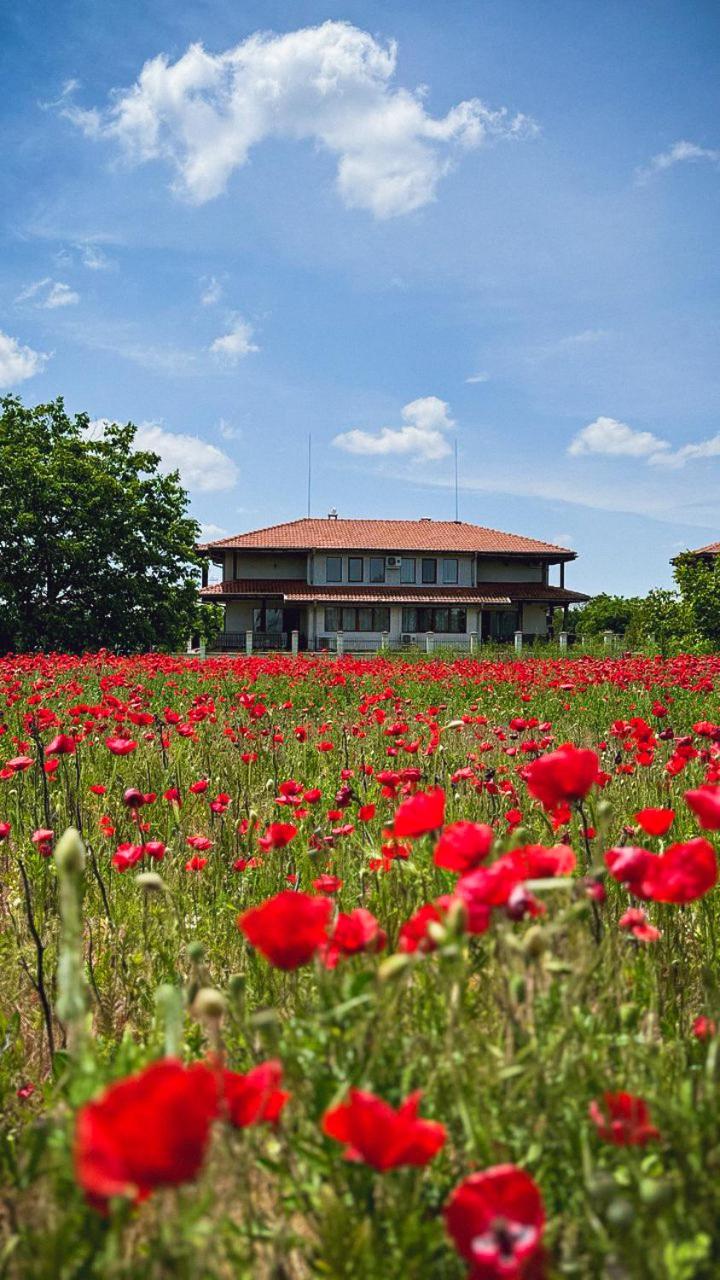 Lavender Lodge Tsarichino