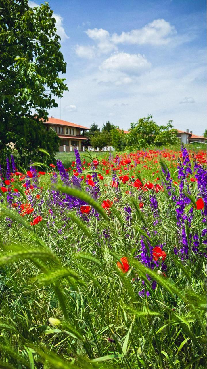 Lavender Lodge Tsarichino