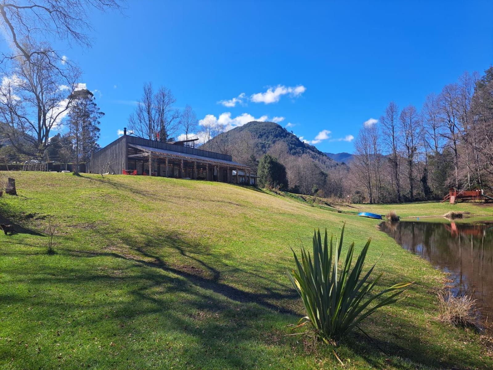 Turismo consciente y de reconexión en Pucón incluye Depto, Baño de Bosque terapéutico y Mindfulness en Parque Kulatrayquen