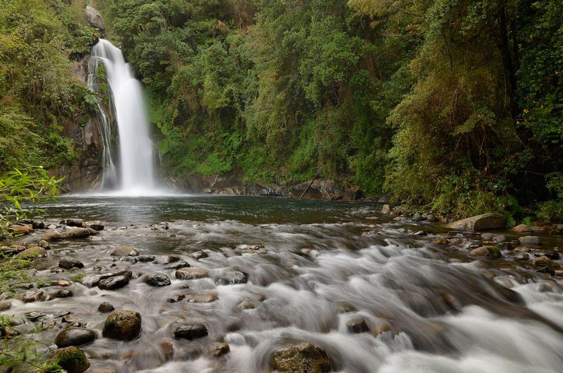 Turismo consciente y de reconexión en Pucón incluye Depto, Baño de Bosque terapéutico y Mindfulness en Parque Kulatrayquen