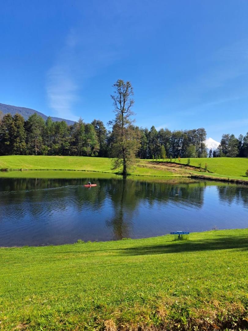 Turismo consciente y de reconexión en Pucón incluye Depto, Baño de Bosque terapéutico y Mindfulness en Parque Kulatrayquen