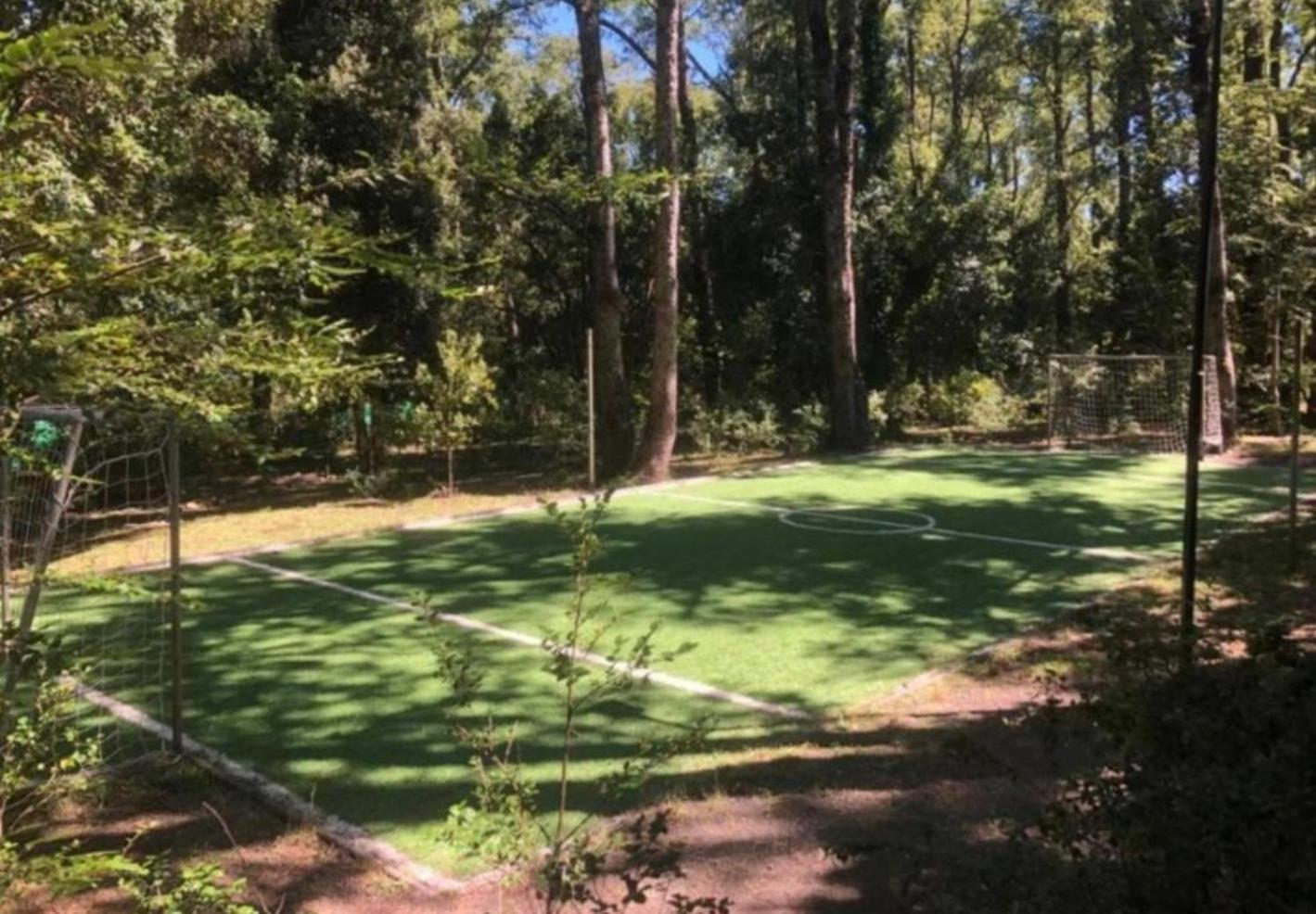Turismo consciente y de reconexión en Pucón incluye Depto, Baño de Bosque terapéutico y Mindfulness en Parque Kulatrayquen