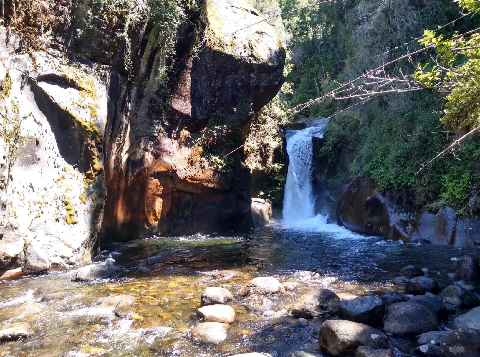 Turismo consciente y de reconexión en Pucón incluye Depto, Baño de Bosque terapéutico y Mindfulness en Parque Kulatrayquen