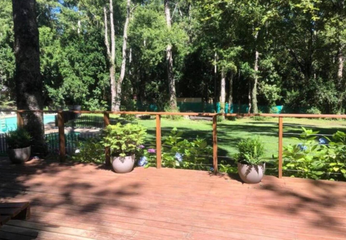 Turismo consciente y de reconexión en Pucón incluye Depto, Baño de Bosque terapéutico y Mindfulness en Parque Kulatrayquen