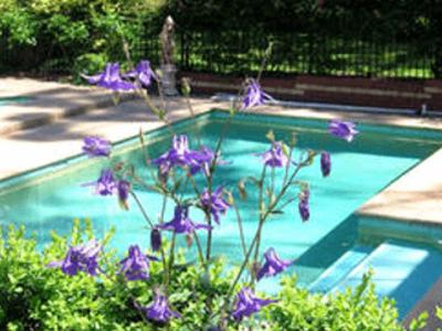 Treetops Bed & Breakfast