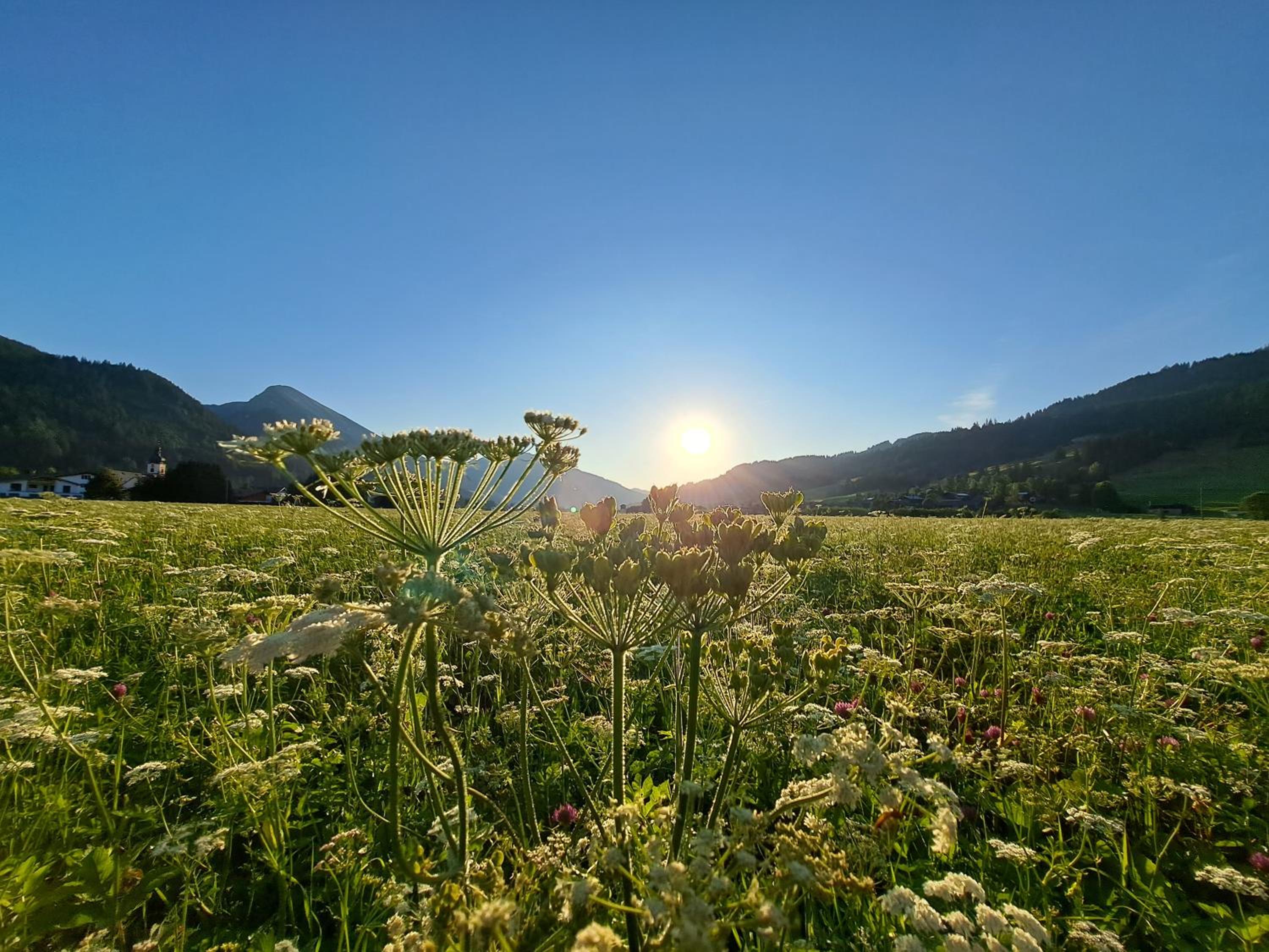 Selbstversorger Unterkunft ZOLLER Sommerbergbahn inklusive