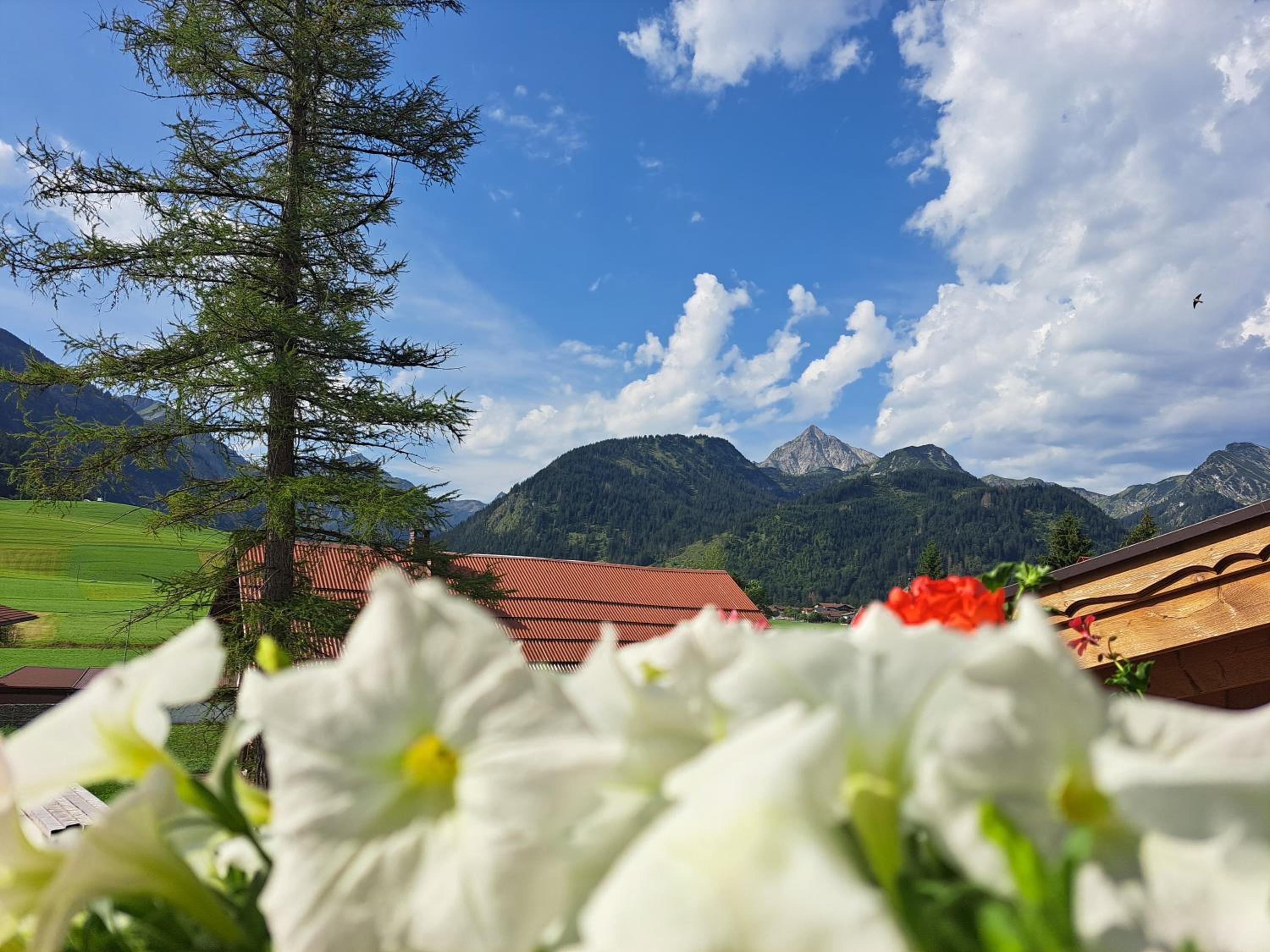 Selbstversorger Unterkunft ZOLLER Sommerbergbahn inklusive