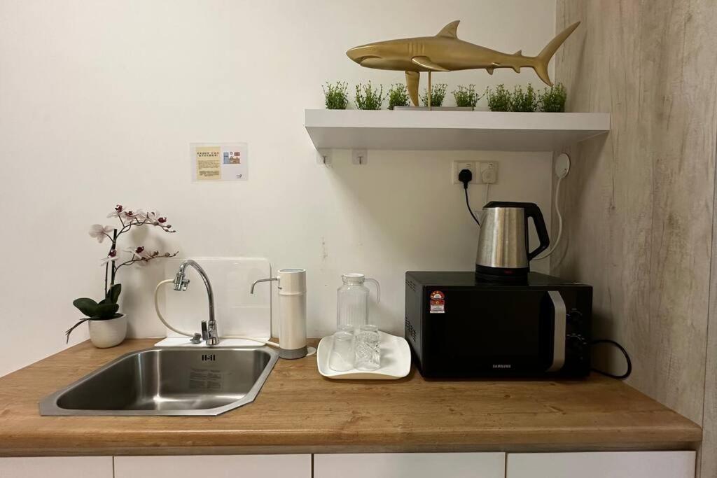 Seaview Seafront Duplex in Town with WiFi & Full Kitchen 66 photo 2