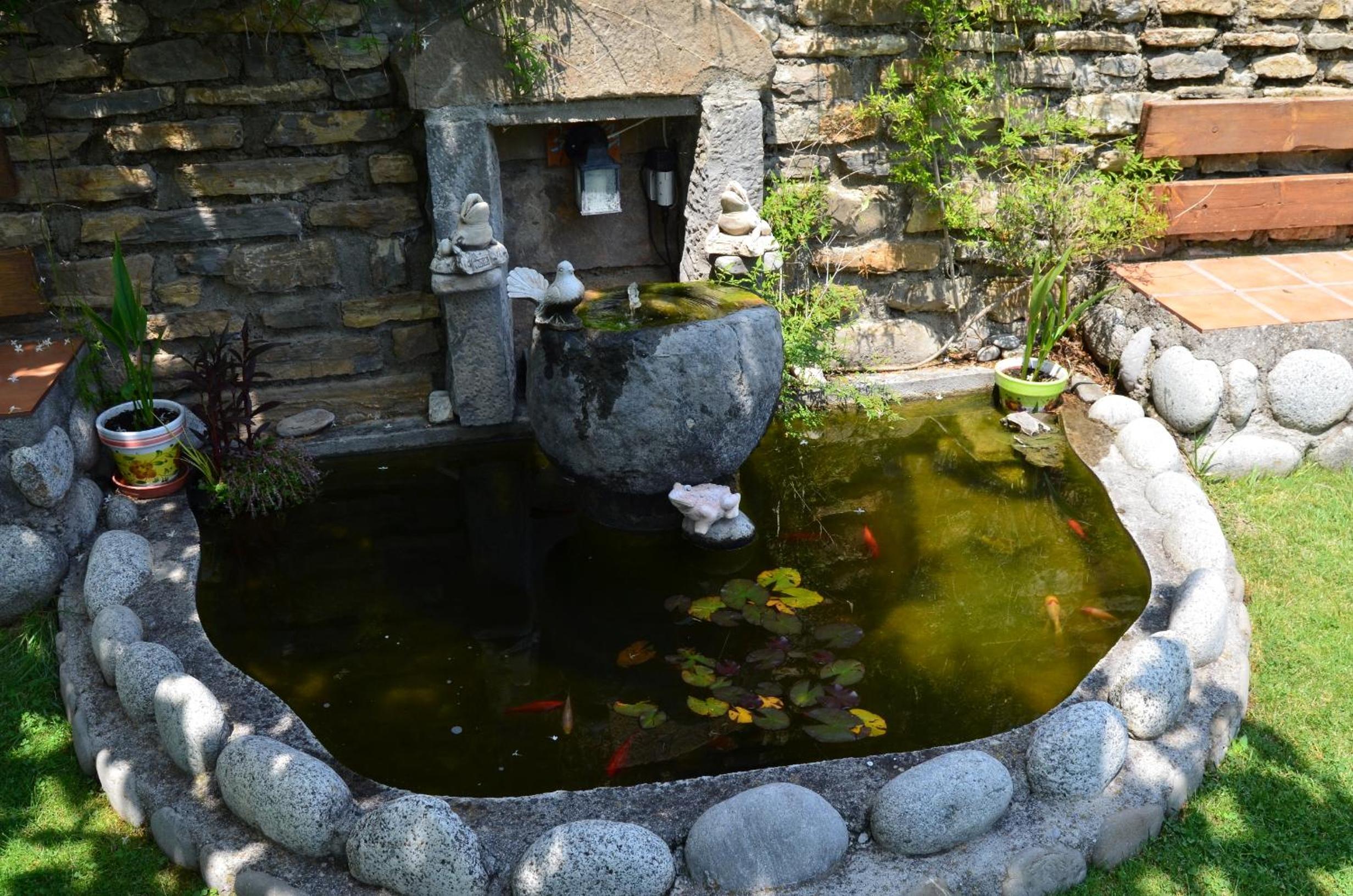 Photo 45