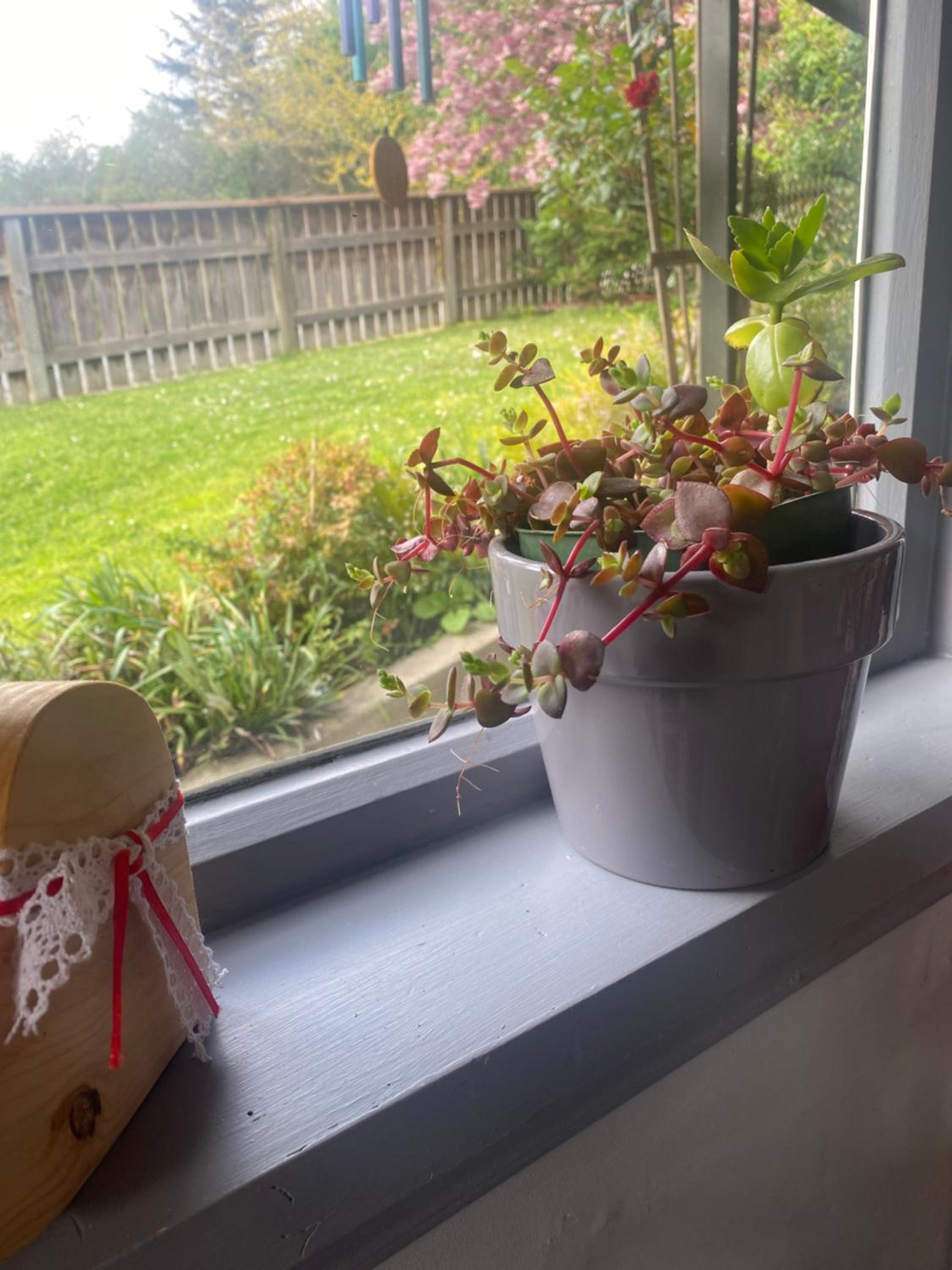 Cherry Tree Cottage