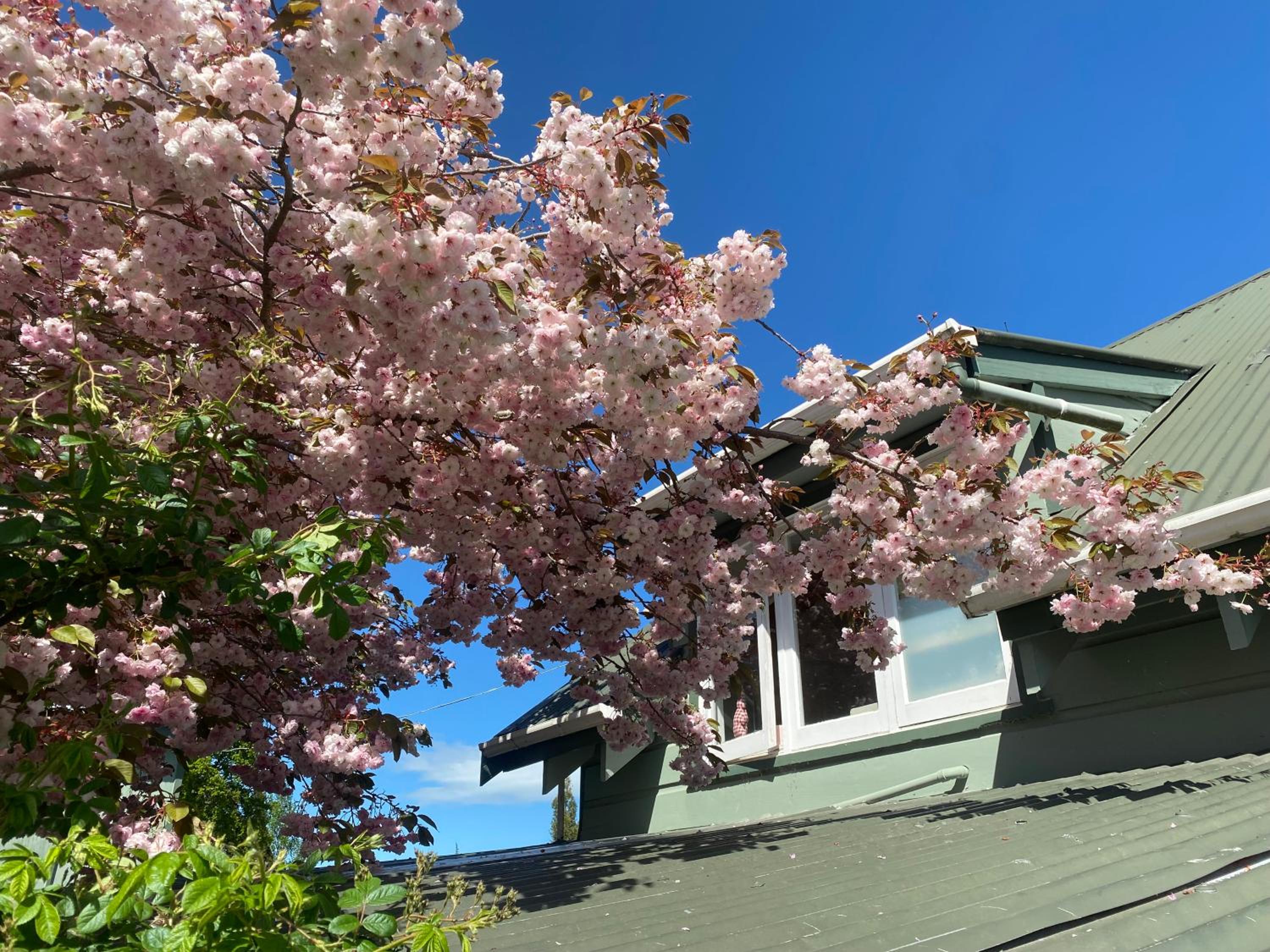 Cherry Tree Cottage