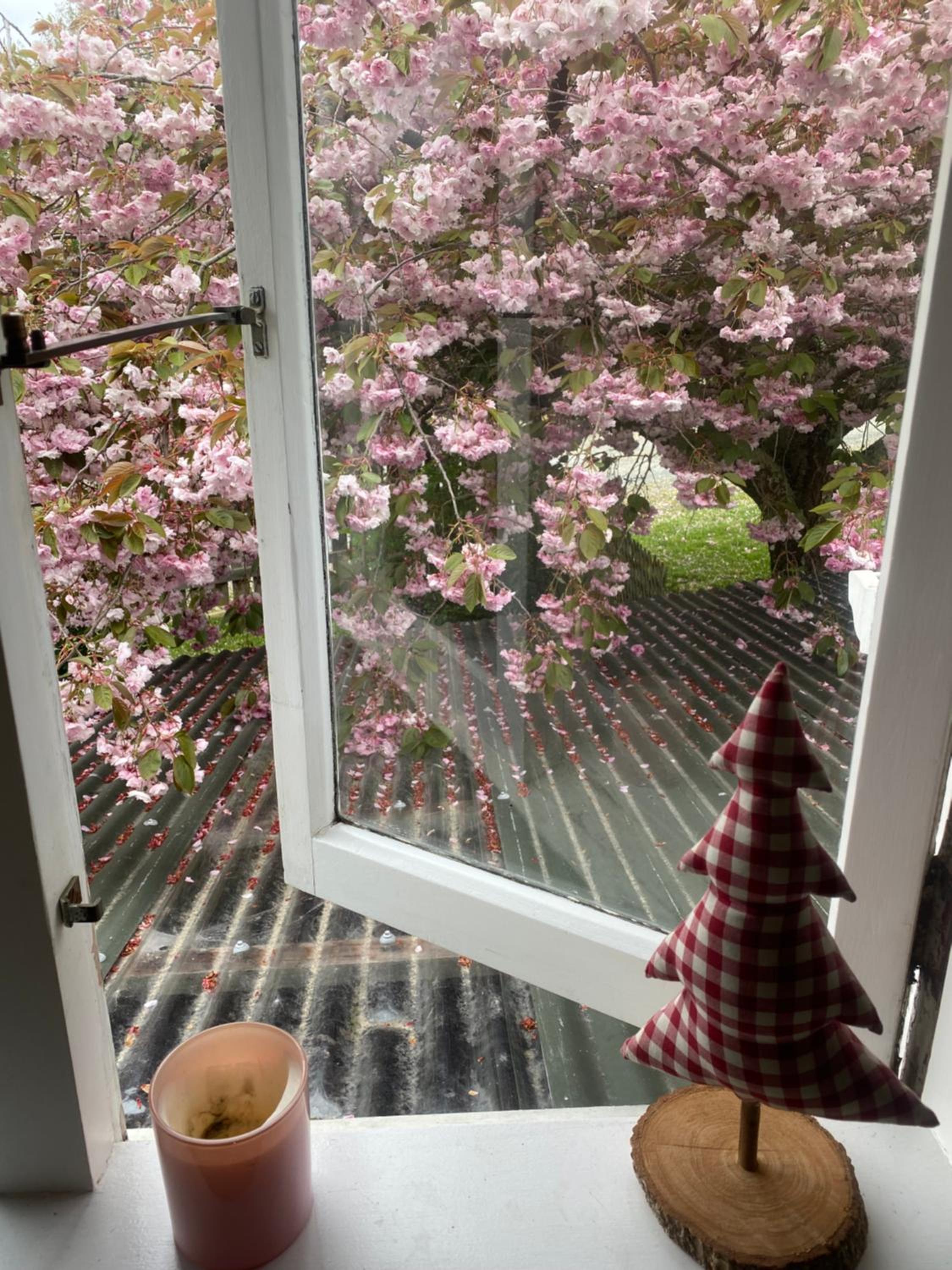 Cherry Tree Cottage