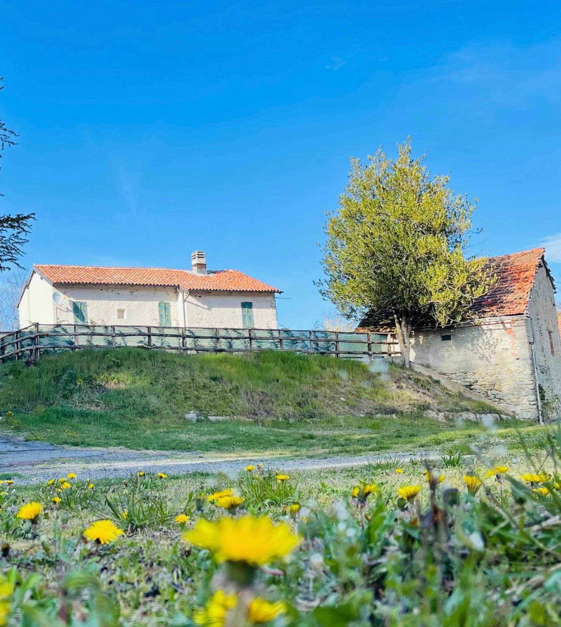 Cascina41 view 3