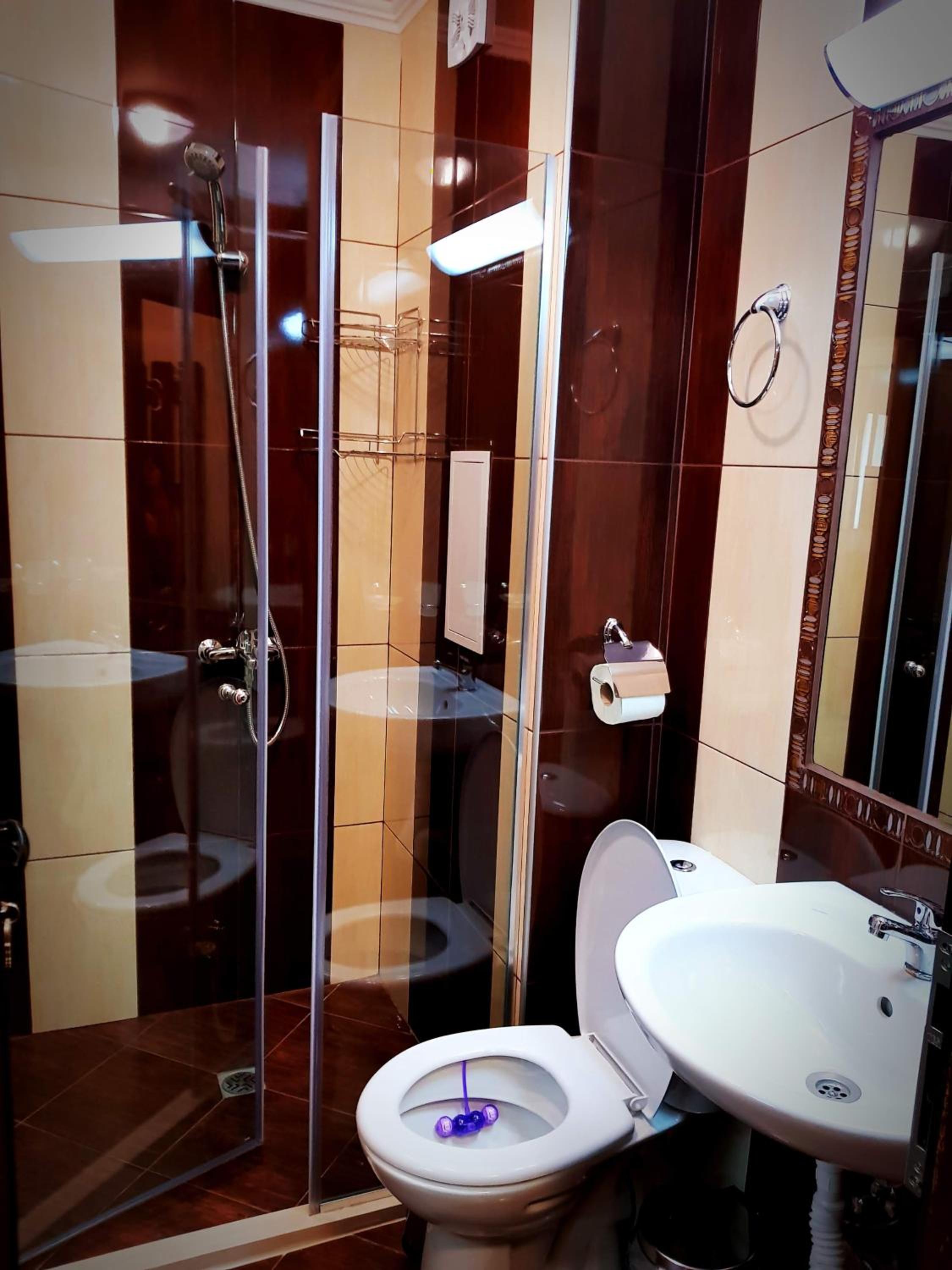 Best Guest Apartments view 3