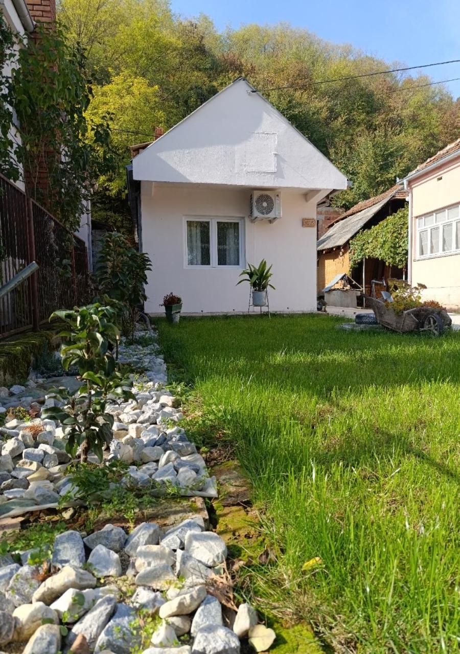 Mokino bunarče