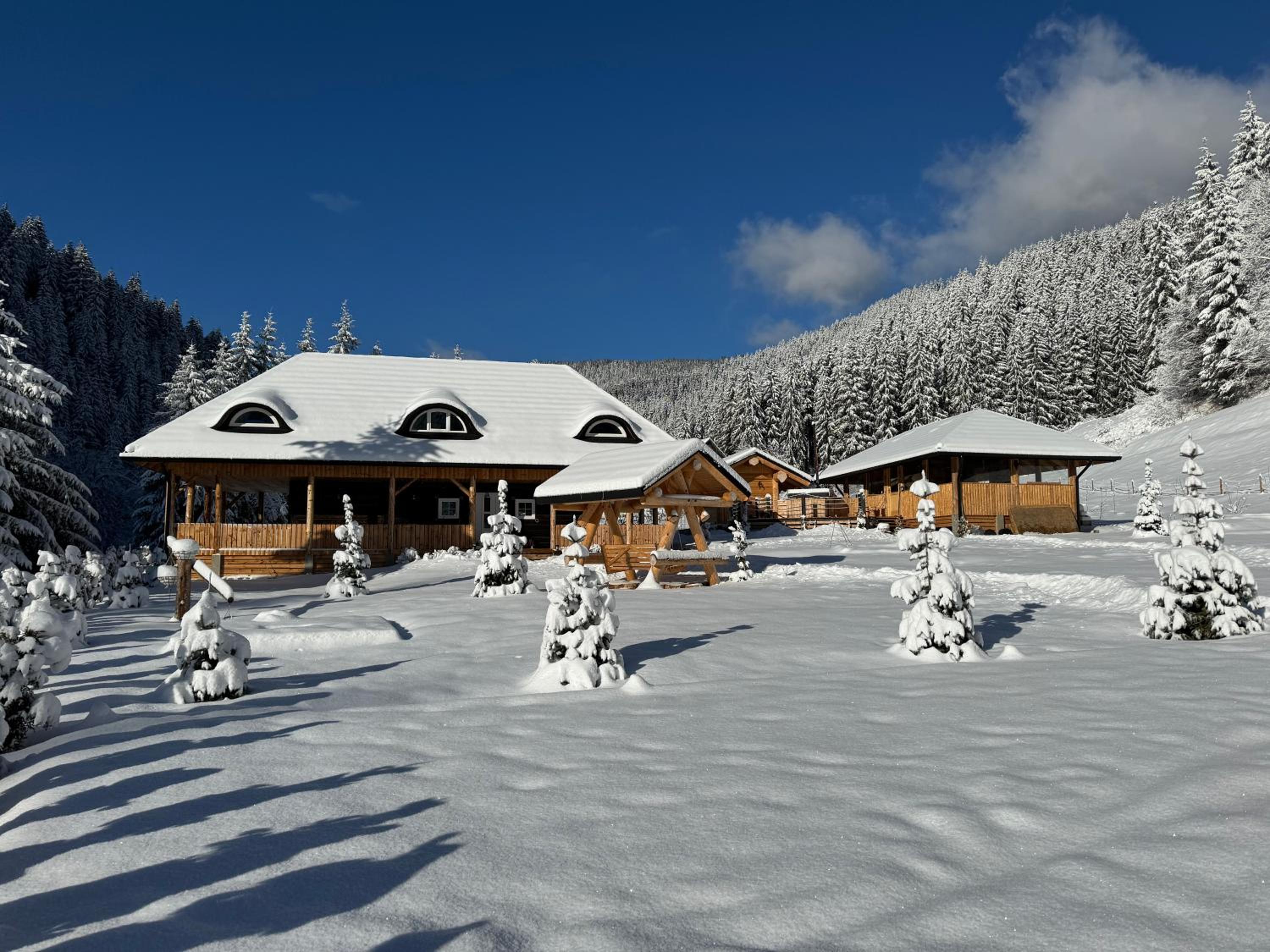 Barlogul Ursului Bilbor view 4