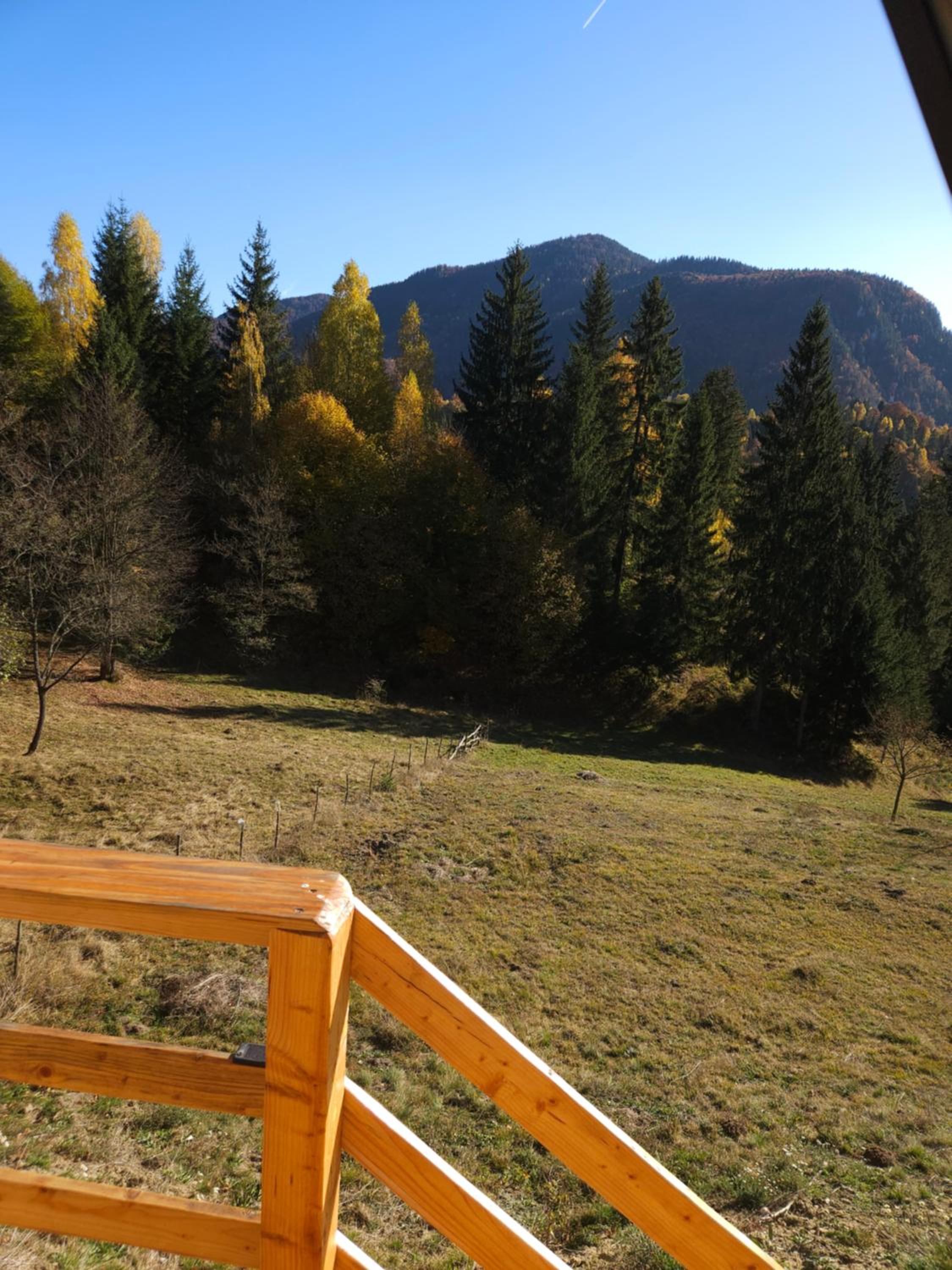 Altundeva la munte view 5