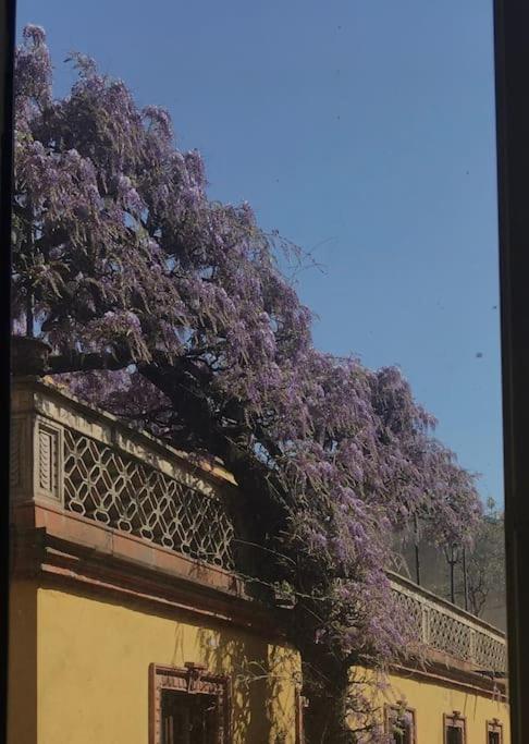 Ritorno alle origini Suites