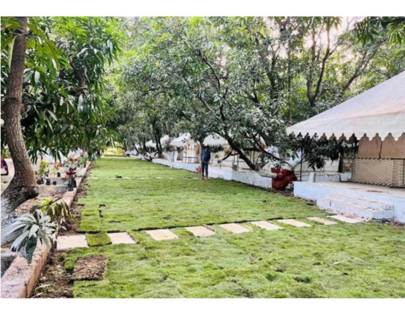Gir Orchid Resort, Bhojde, Gujarat view 2