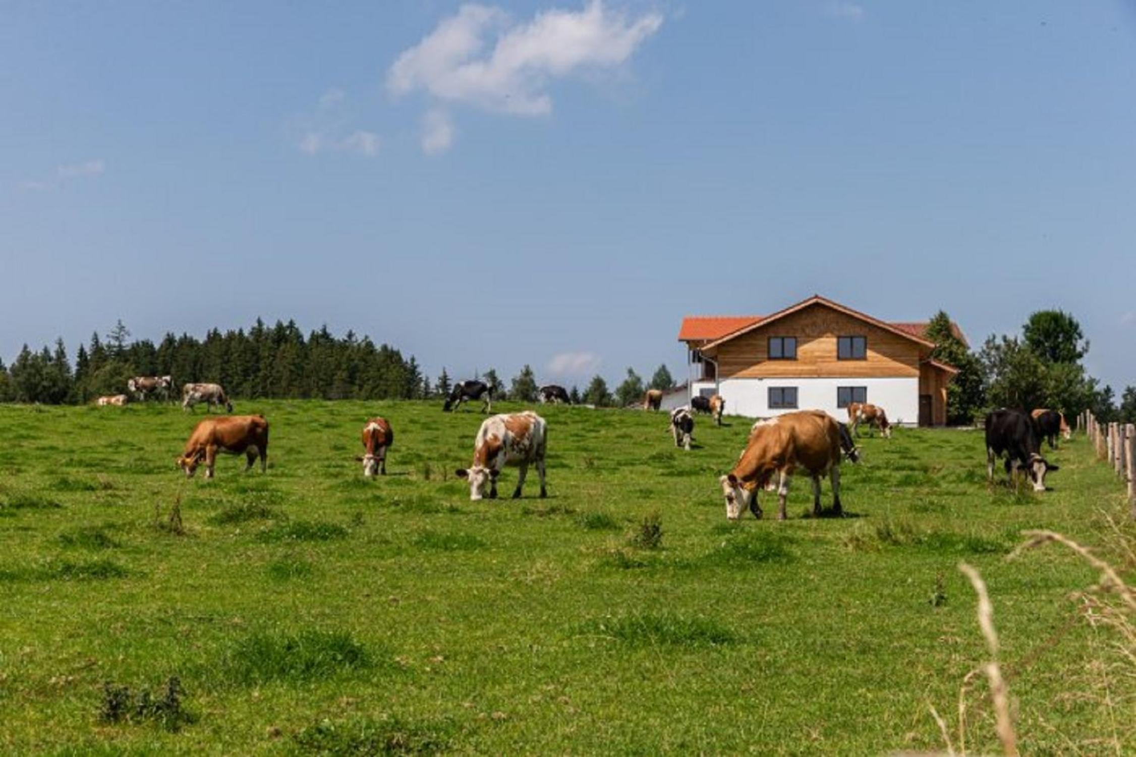 Auszeit Ferienhof