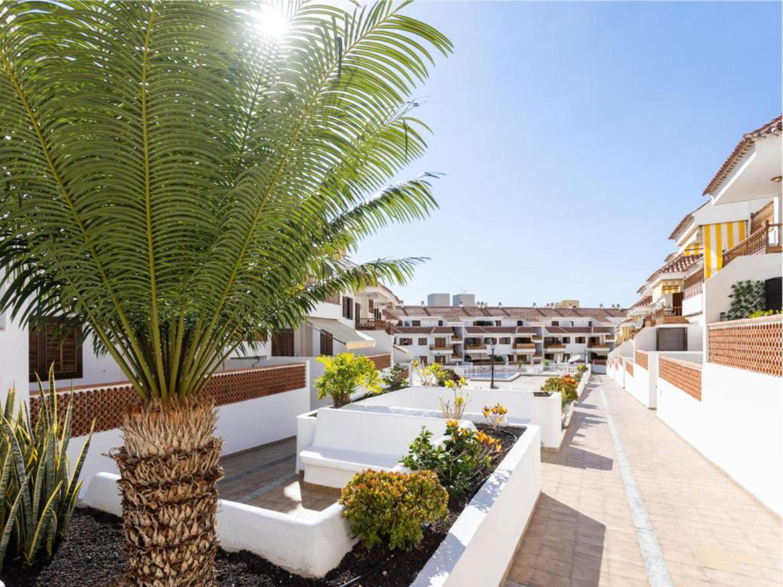 Live Playa Las Américas Residencial el Cardón