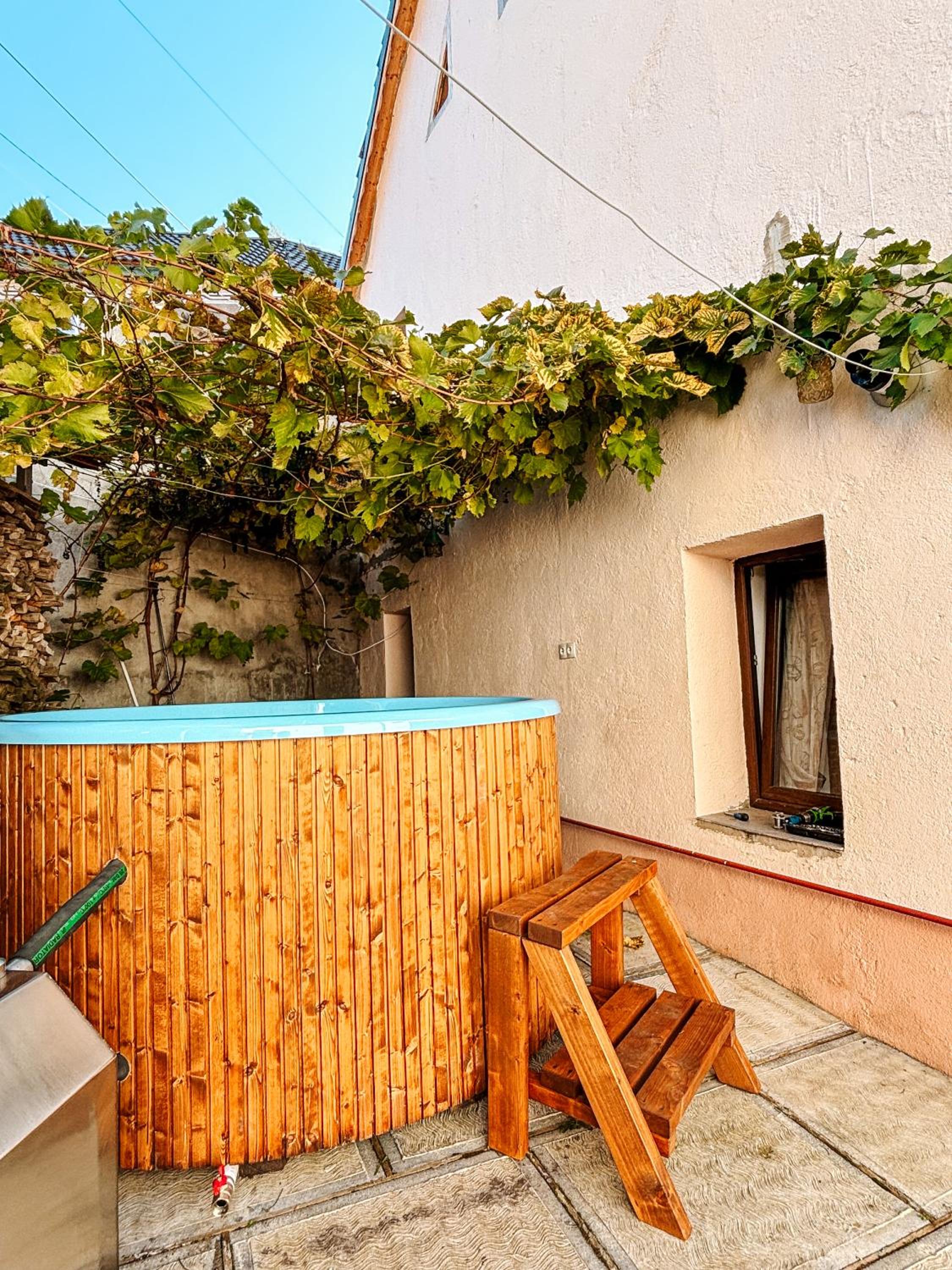 Casa Ursului - Rustic house in traditional village view 2